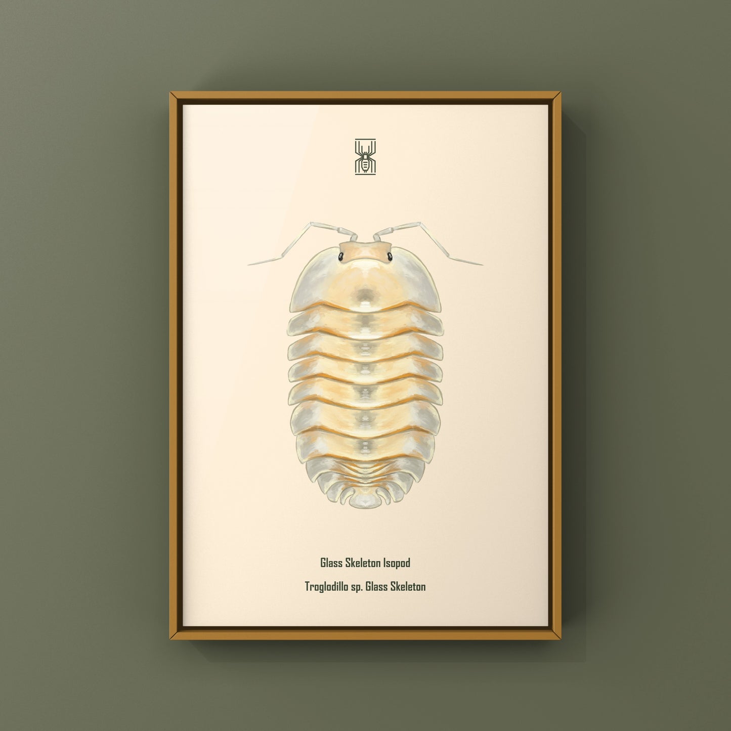 Glass Skeleton Isopod art print featuring a Troglodillo sp. skeleton in glass style, created by The Silk Ranch.
