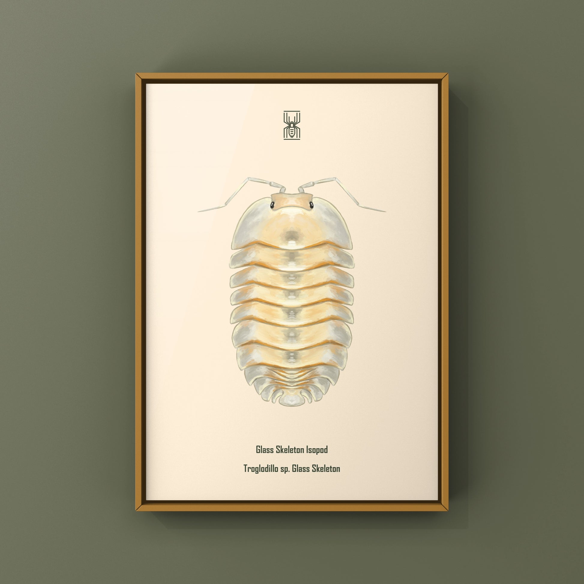 Glass Skeleton Isopod art print featuring a Troglodillo sp. skeleton in glass style, created by The Silk Ranch.