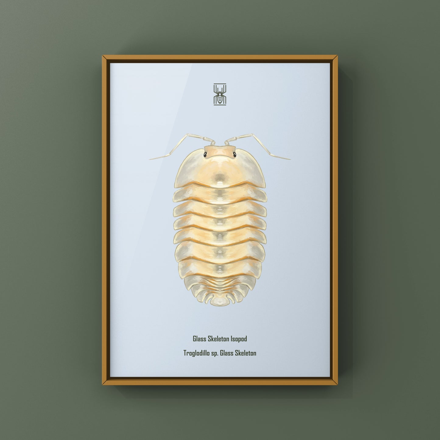 Glass Skeleton Isopod art print by The Silk Ranch showing a detailed skeletal illustration of Troglodillo sp. on white background.