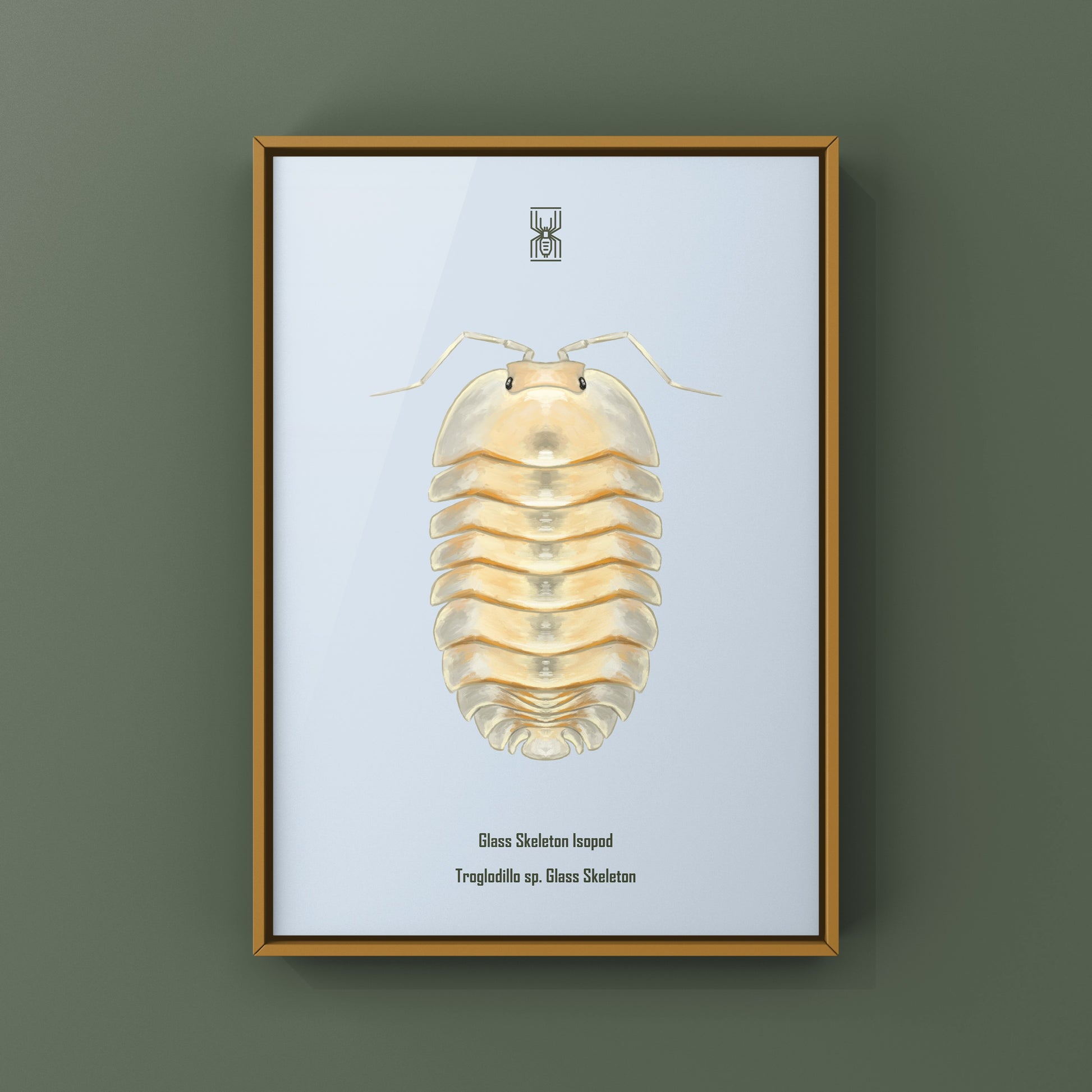 Glass Skeleton Isopod art print by The Silk Ranch showing a detailed skeletal illustration of Troglodillo sp. on white background.