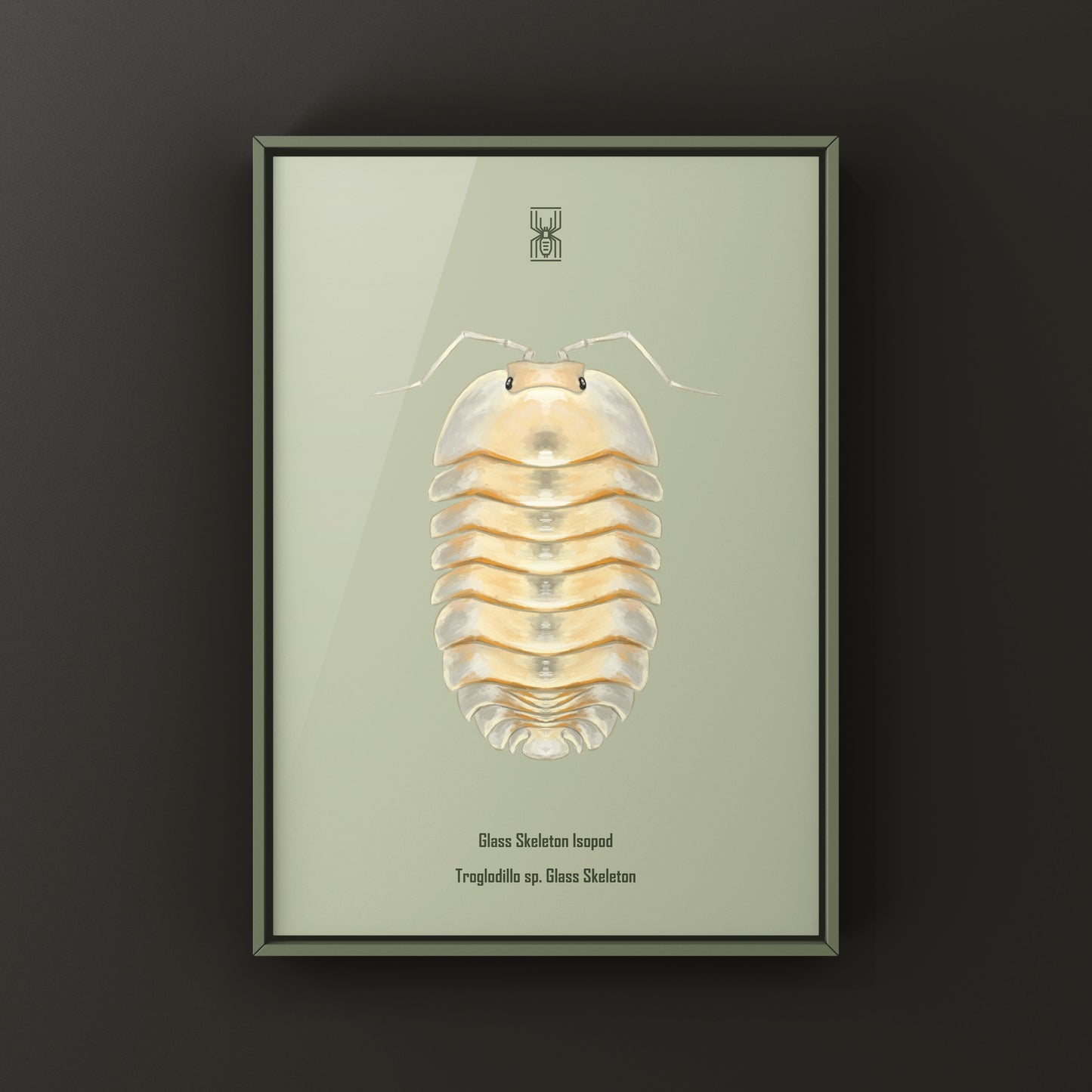 Glass Skeleton Isopod art print by The Silk Ranch featuring a detailed Troglodillo sp. skeleton illustration.