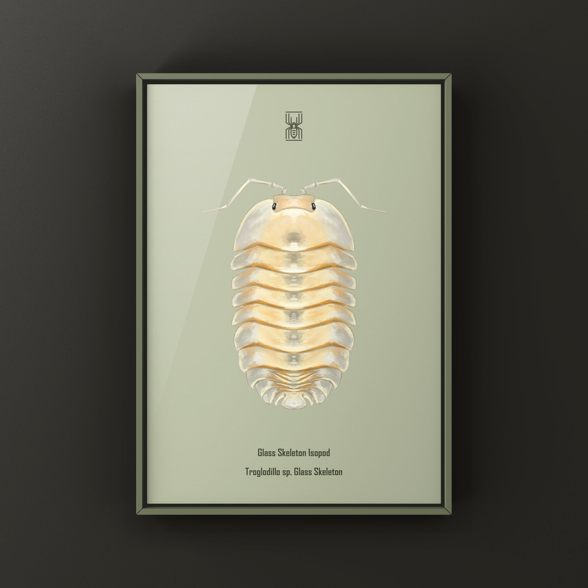 Glass Skeleton Isopod art print by The Silk Ranch featuring a detailed Troglodillo sp. skeleton illustration.