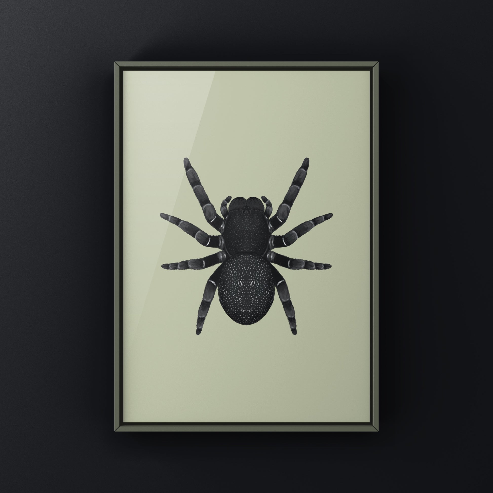 Golden face velvet spider art print showcasing the Eresus moravicus spider with vibrant golden and black velvet textures.