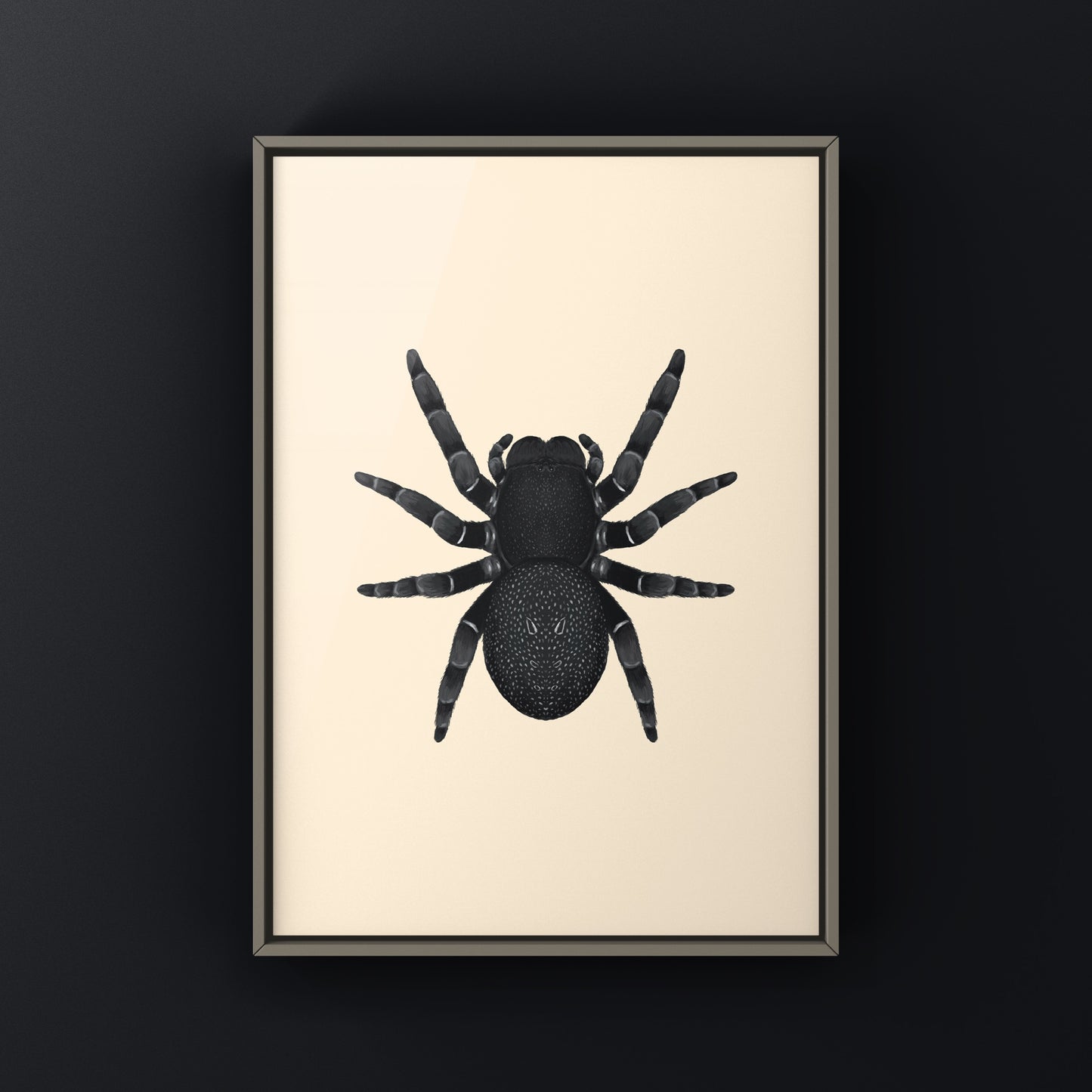 Golden face velvet spider art print showcasing the detailed Eresus moravicus spider on textured paper by The Silk Ranch
