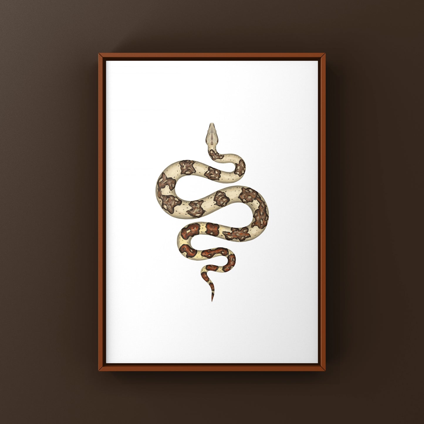 Jungle Colombian Red Tail Boa art print by The Silk Ranch showing vibrant boa imperator in lush jungle setting.