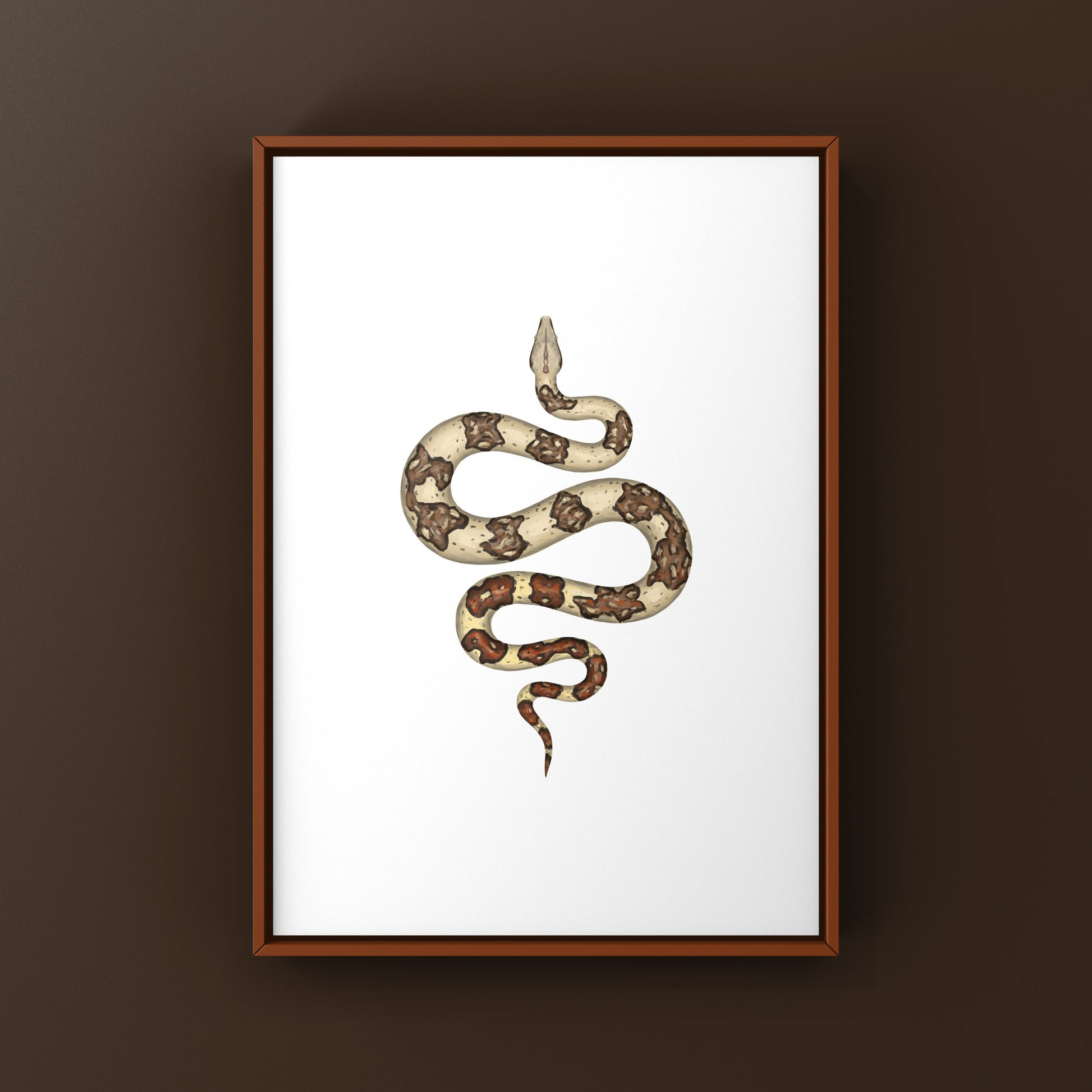 Jungle Colombian Red Tail Boa art print by The Silk Ranch showing vibrant boa imperator in lush jungle setting.