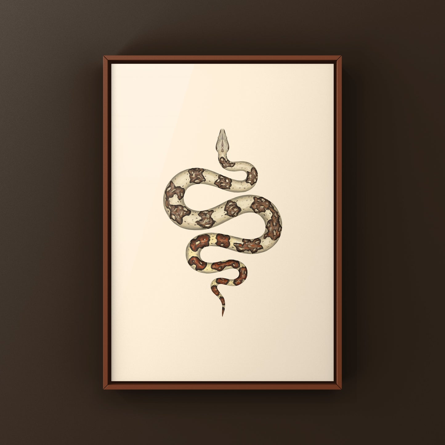 Jungle Colombian Red Tail Boa art print by The Silk Ranch showing a detailed illustration of a Boa imperator on white background.