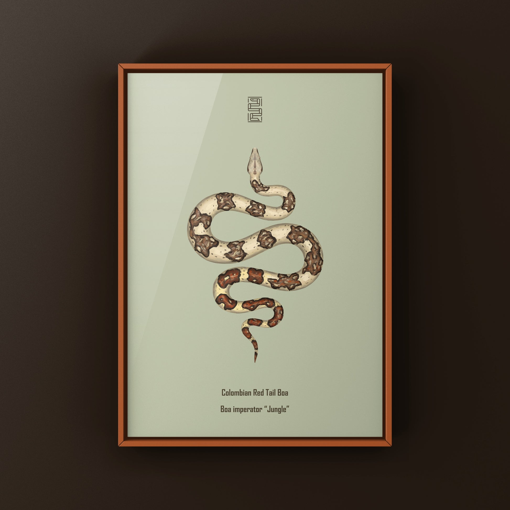 Jungle Colombian Red Tail Boa art print by The Silk Ranch featuring detailed illustration of Boa imperator with lush jungle background.