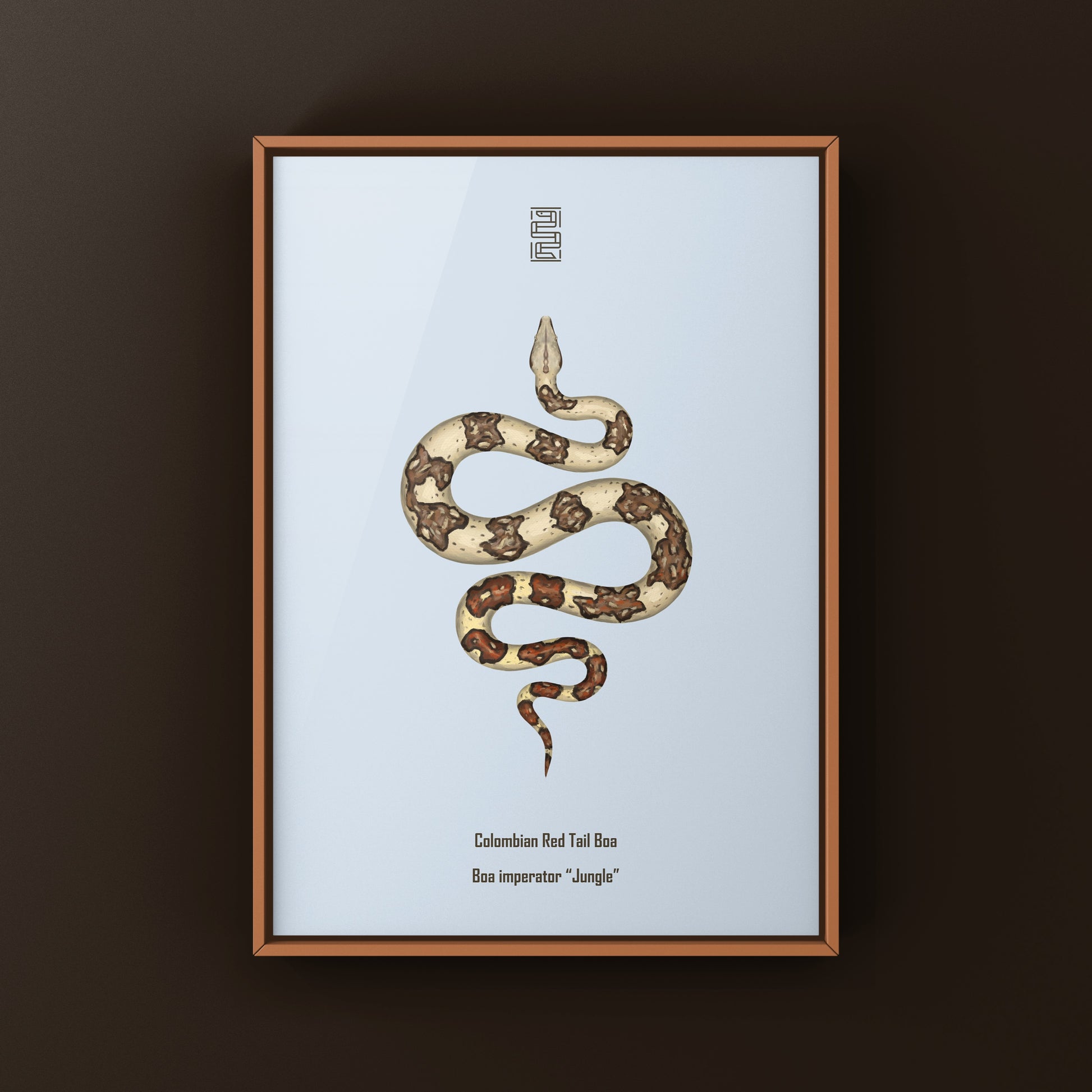 Jungle Colombian Red Tail Boa art print by The Silk Ranch showing detailed illustration of Boa imperator with vibrant jungle background.