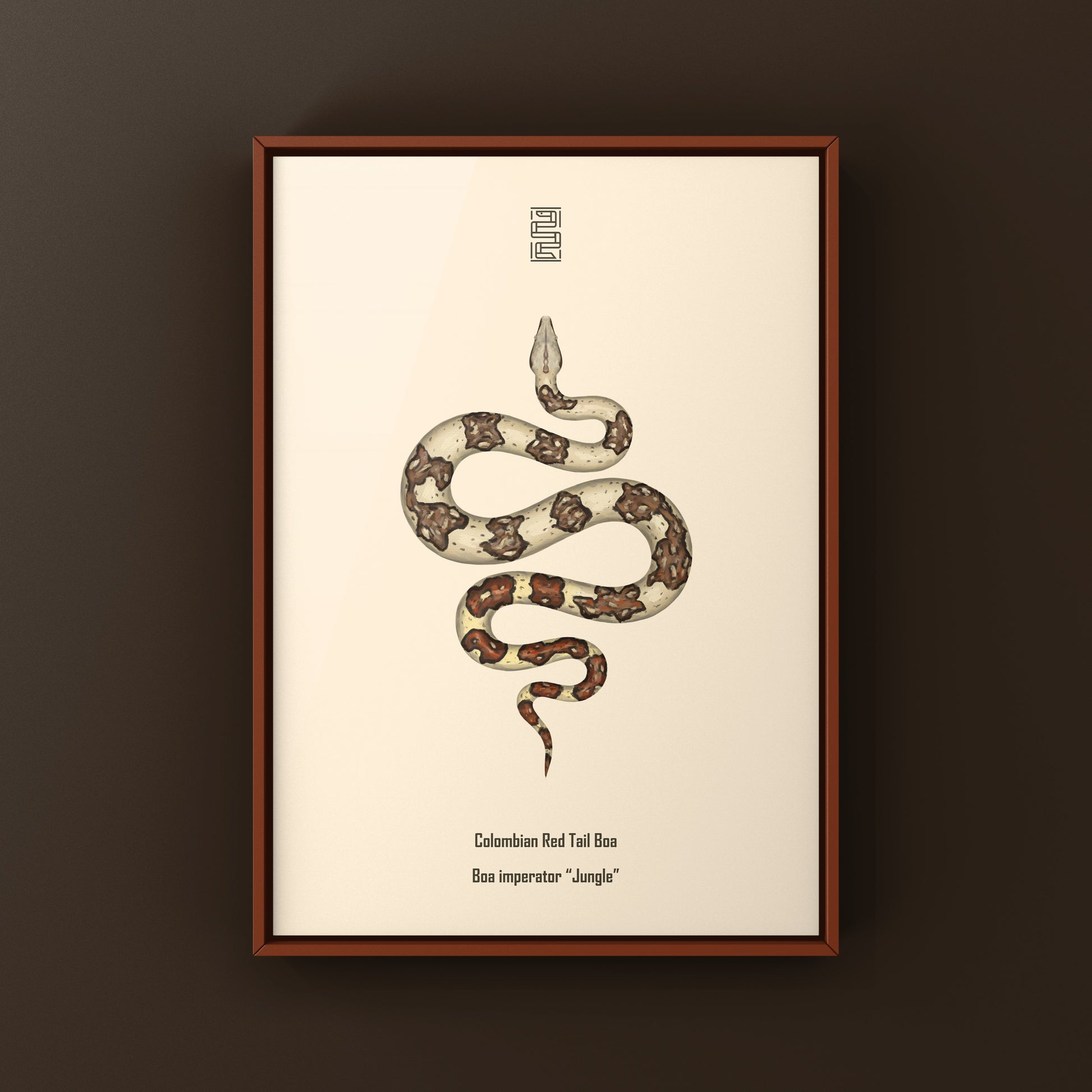 Colorful Jungle Colombian Red Tail Boa art print featuring a boa imperator snake, suitable for nature and reptile enthusiasts.