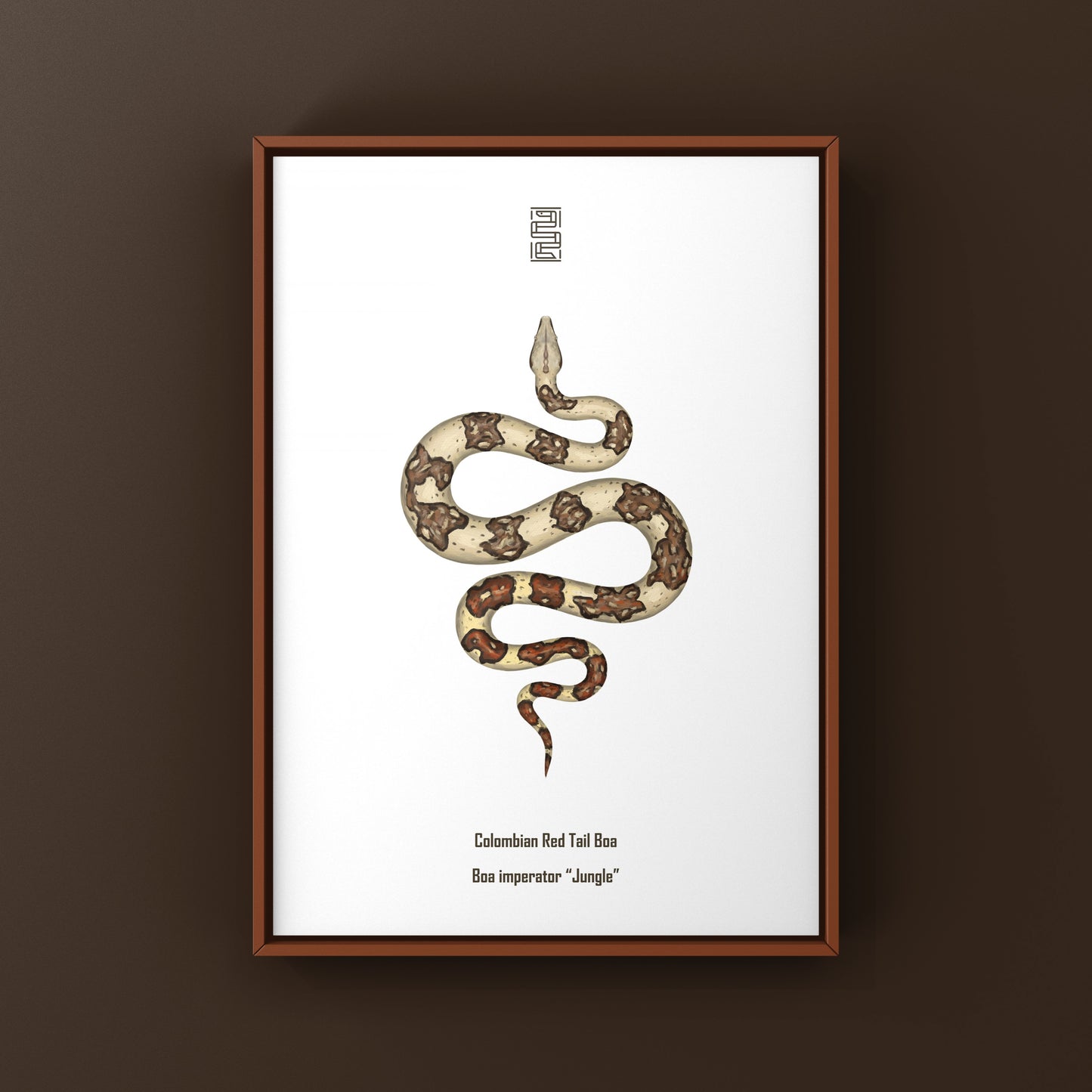 Colorful Jungle Colombian Red Tail Boa art print by The Silk Ranch featuring detailed boa imperator illustration on textured paper.