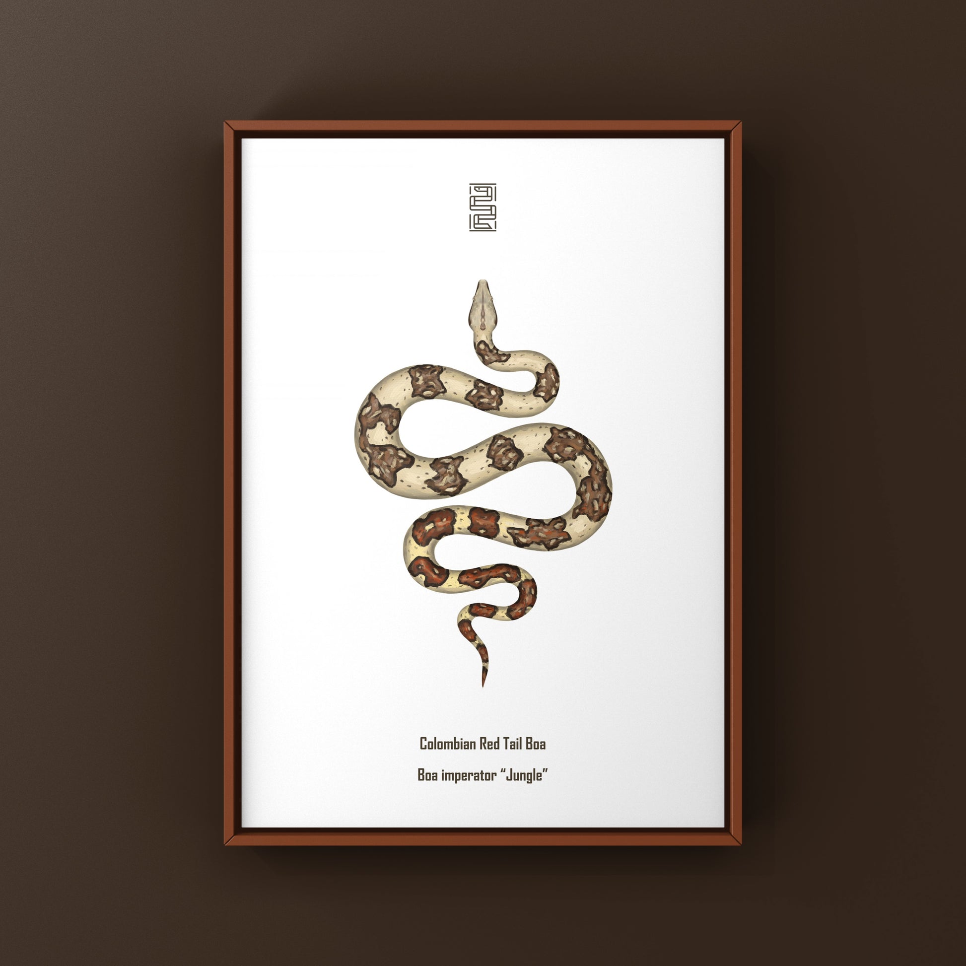 Colorful Jungle Colombian Red Tail Boa art print by The Silk Ranch featuring detailed boa imperator illustration on textured paper.