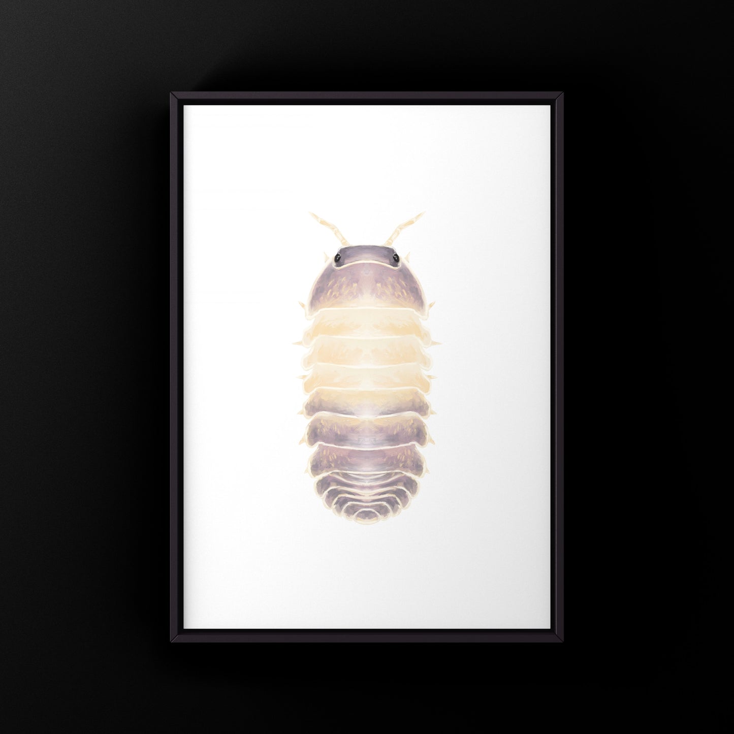 Lavender Panda King Isopod art print by The Silk Ranch featuring detailed illustrations of Cubaris sp. Lavender Panda King in natural colors.