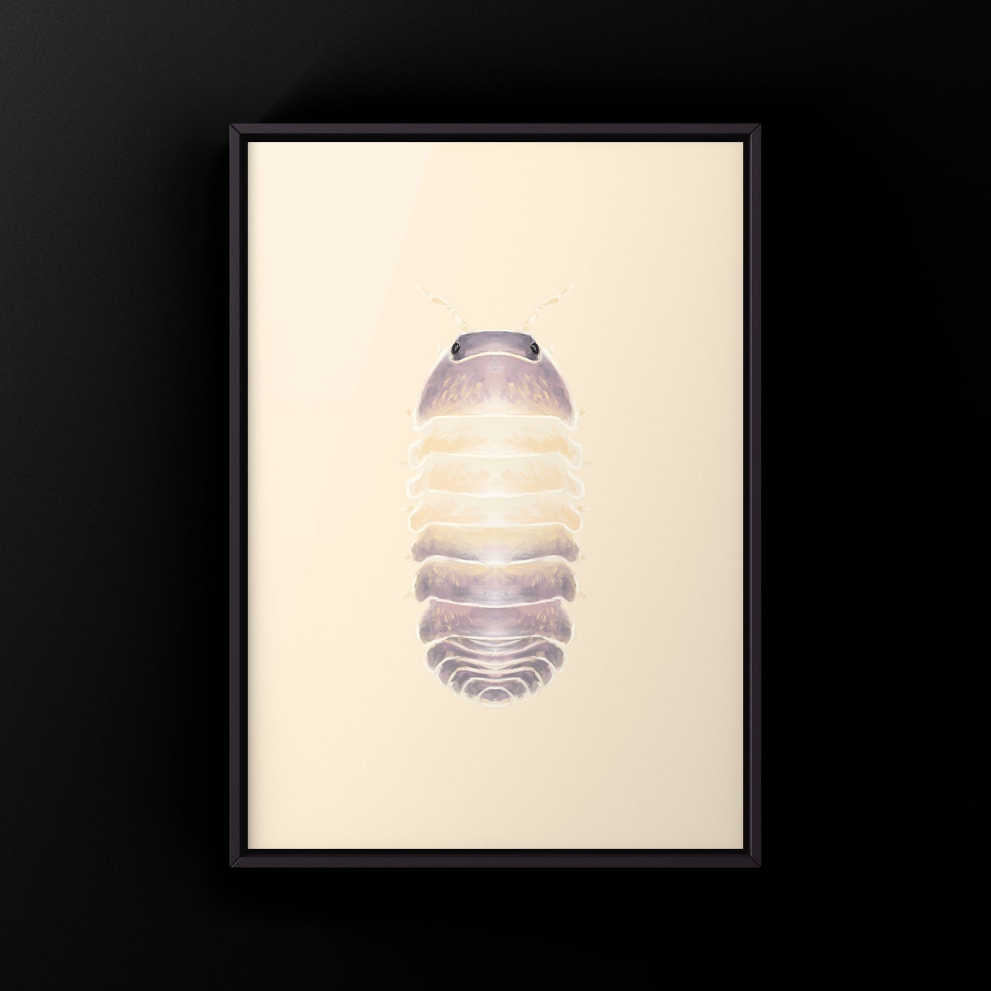 Lavender Panda King isopod art print featuring detailed illustration of Cubaris sp. Lavender Panda King by The Silk Ranch.
