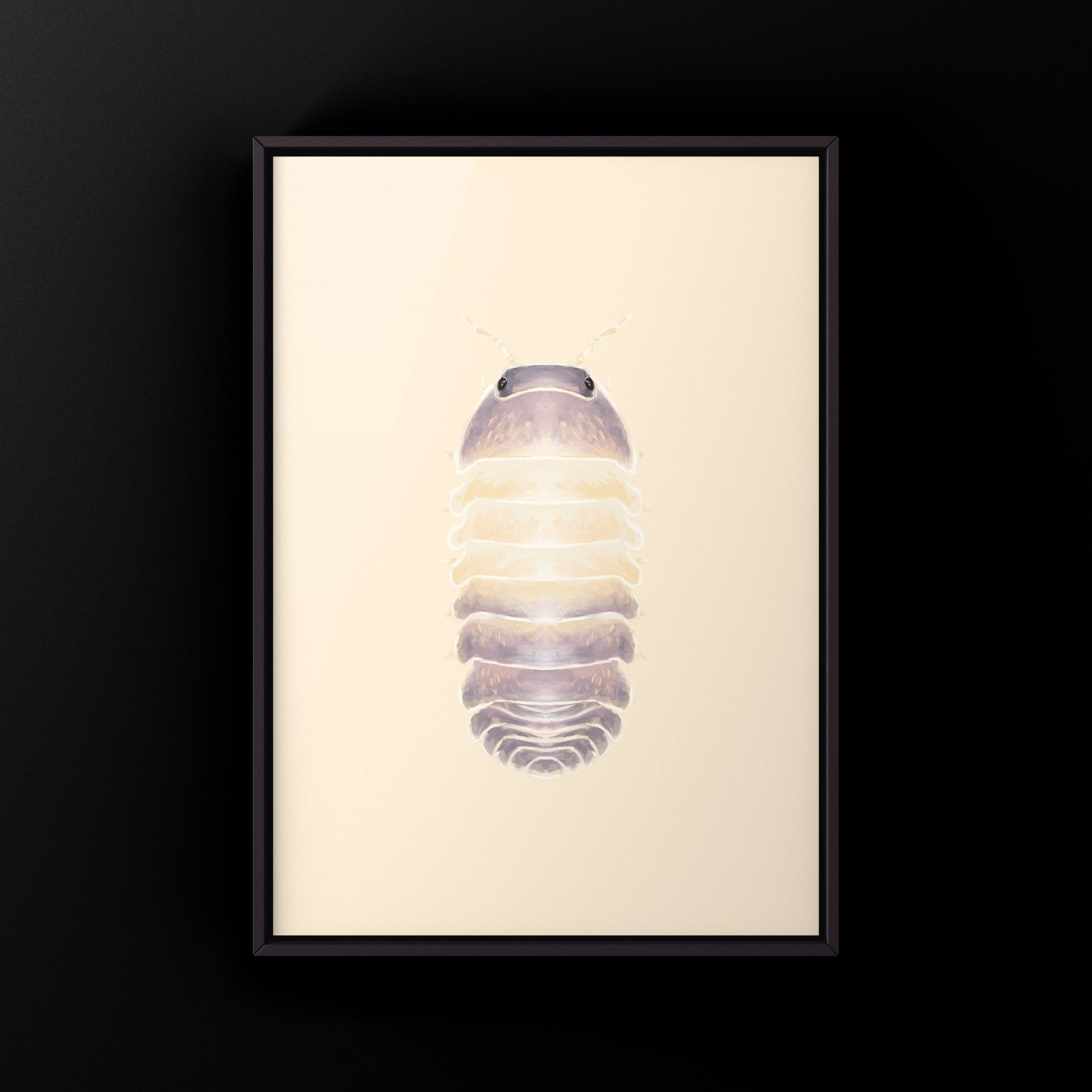 Lavender Panda King isopod art print featuring detailed illustration of Cubaris sp. Lavender Panda King by The Silk Ranch.