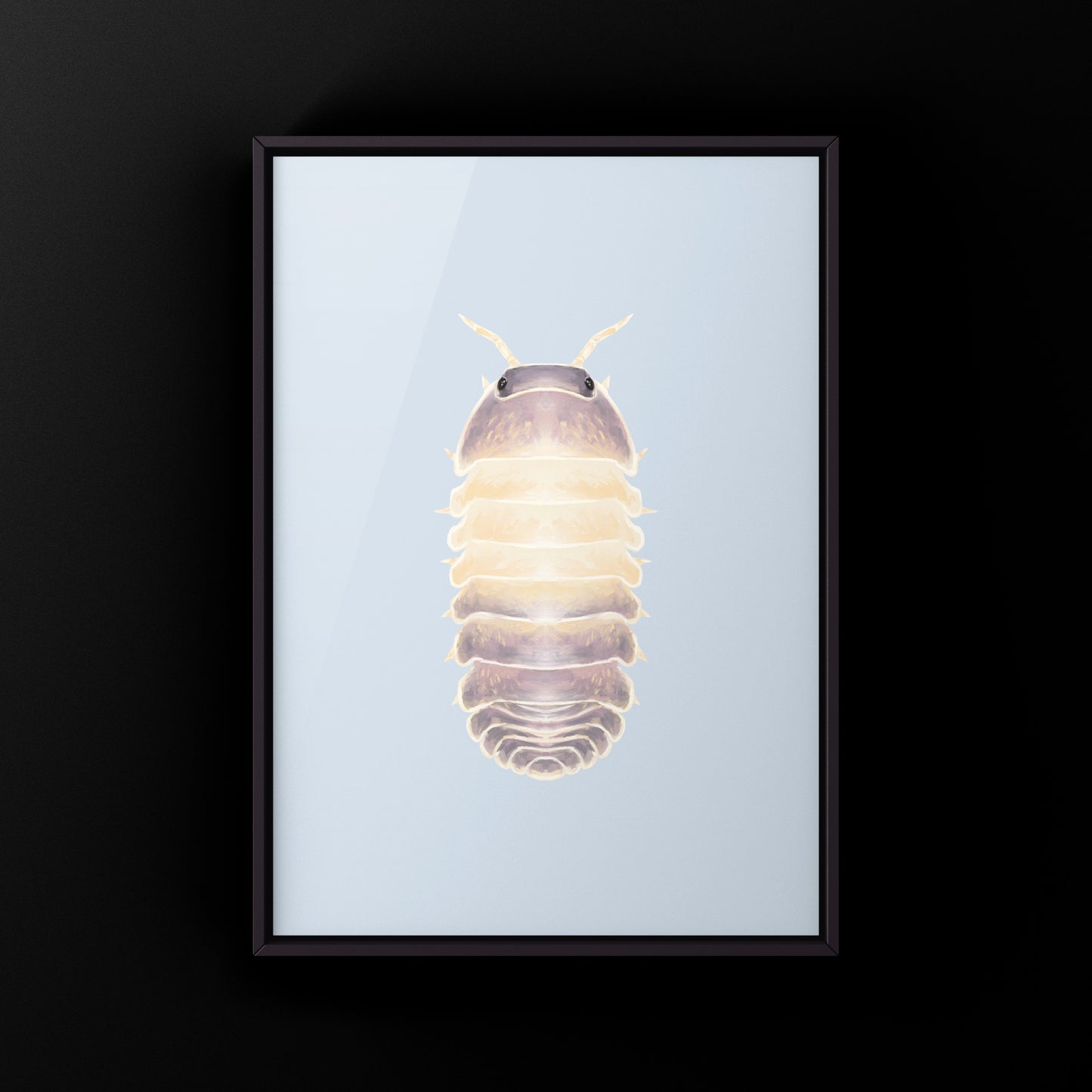 Lavender Panda King Isopod art print by The Silk Ranch featuring detailed illustration of Cubaris sp. Lavender Panda King on white background.