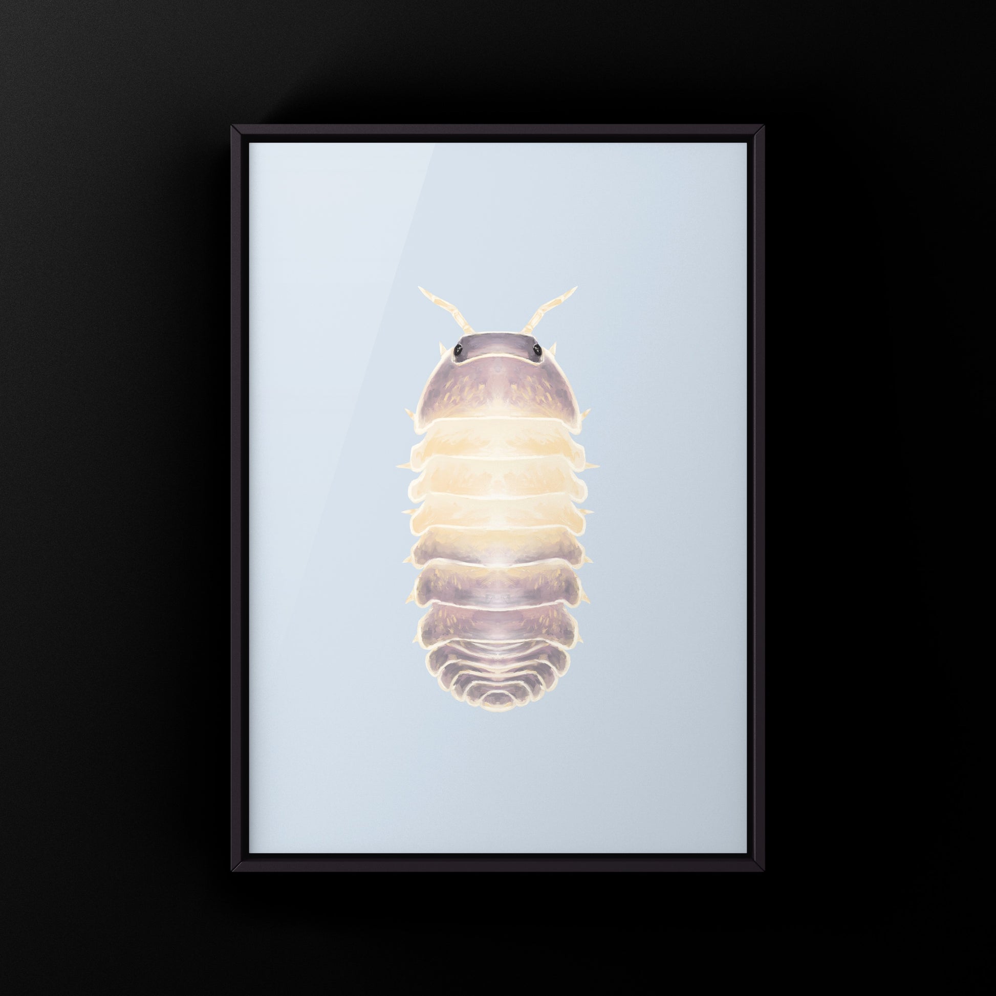 Lavender Panda King Isopod art print by The Silk Ranch featuring detailed illustration of Cubaris sp. Lavender Panda King on white background.