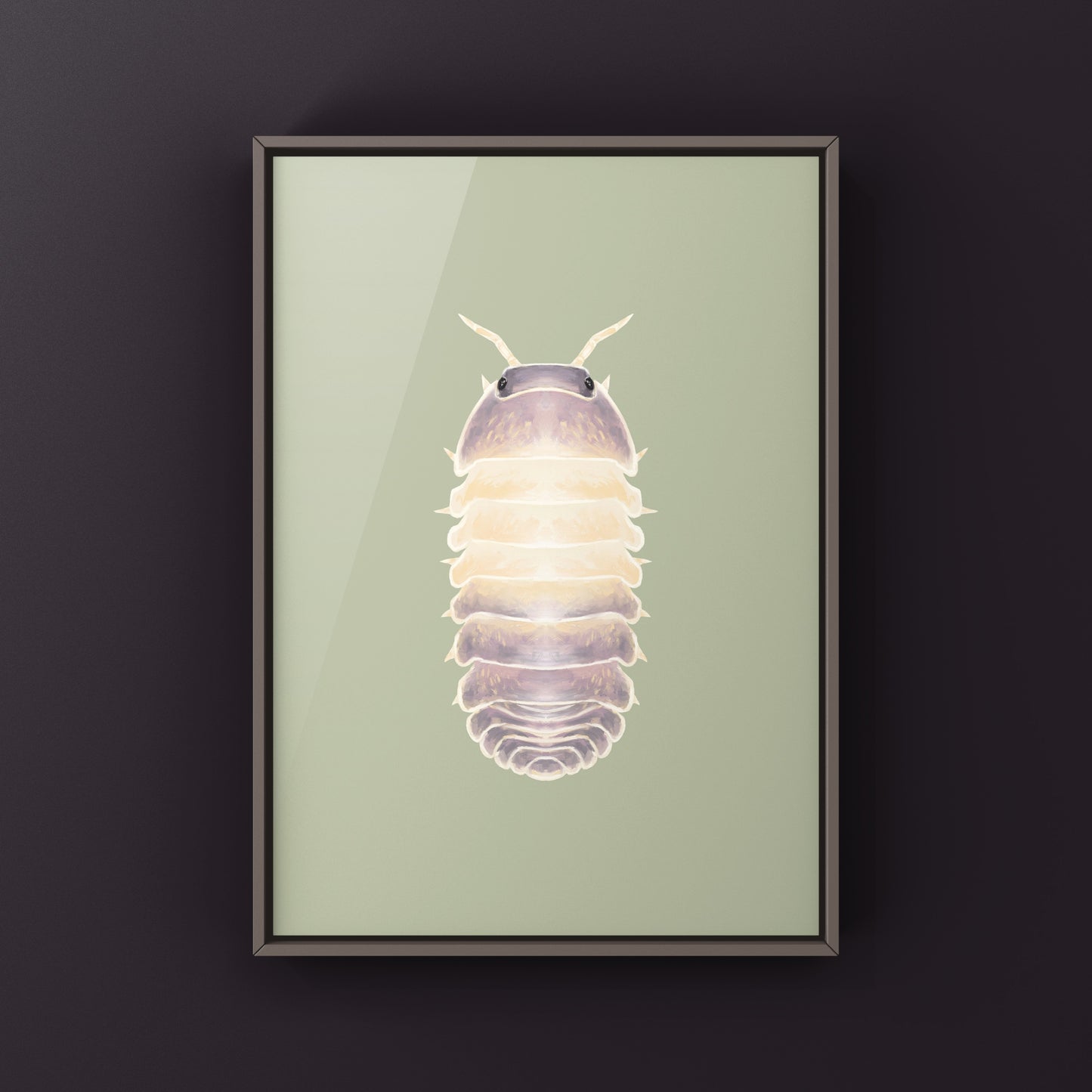 Lavender Panda King isopod art print featuring Cubaris sp. Lavender Panda King, showcasing detailed illustration of the colorful crustacean.