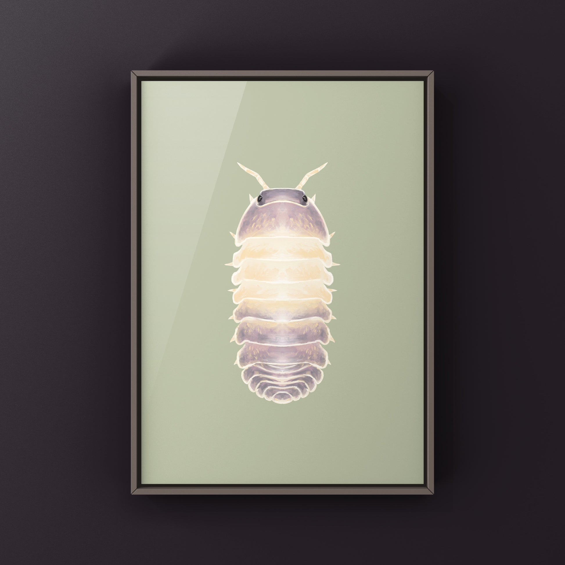 Lavender Panda King isopod art print featuring Cubaris sp. Lavender Panda King, showcasing detailed illustration of the colorful crustacean.