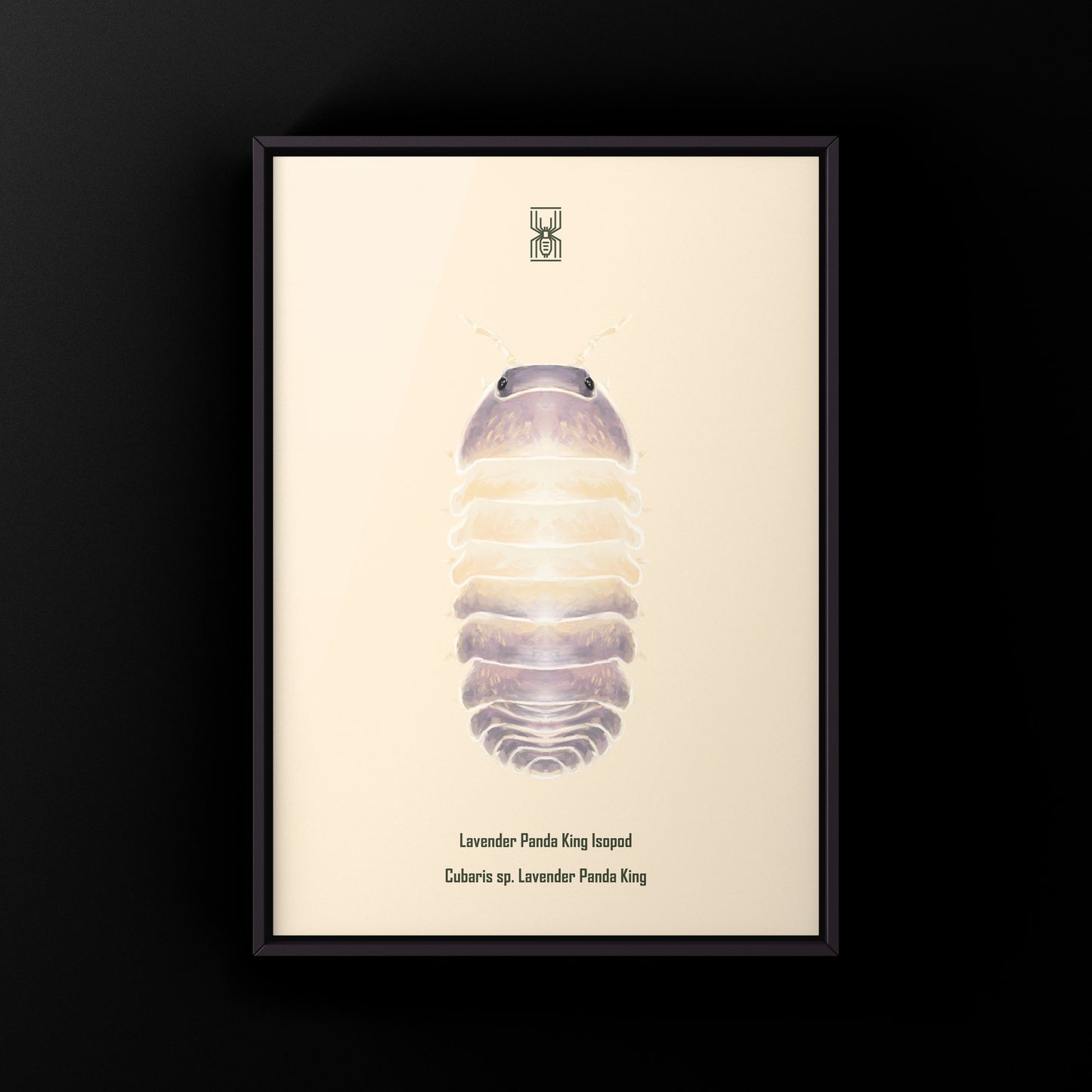 Lavender Panda King isopod art print featuring Cubaris sp. Lavender Panda King, displayed in a detailed and colorful illustration.