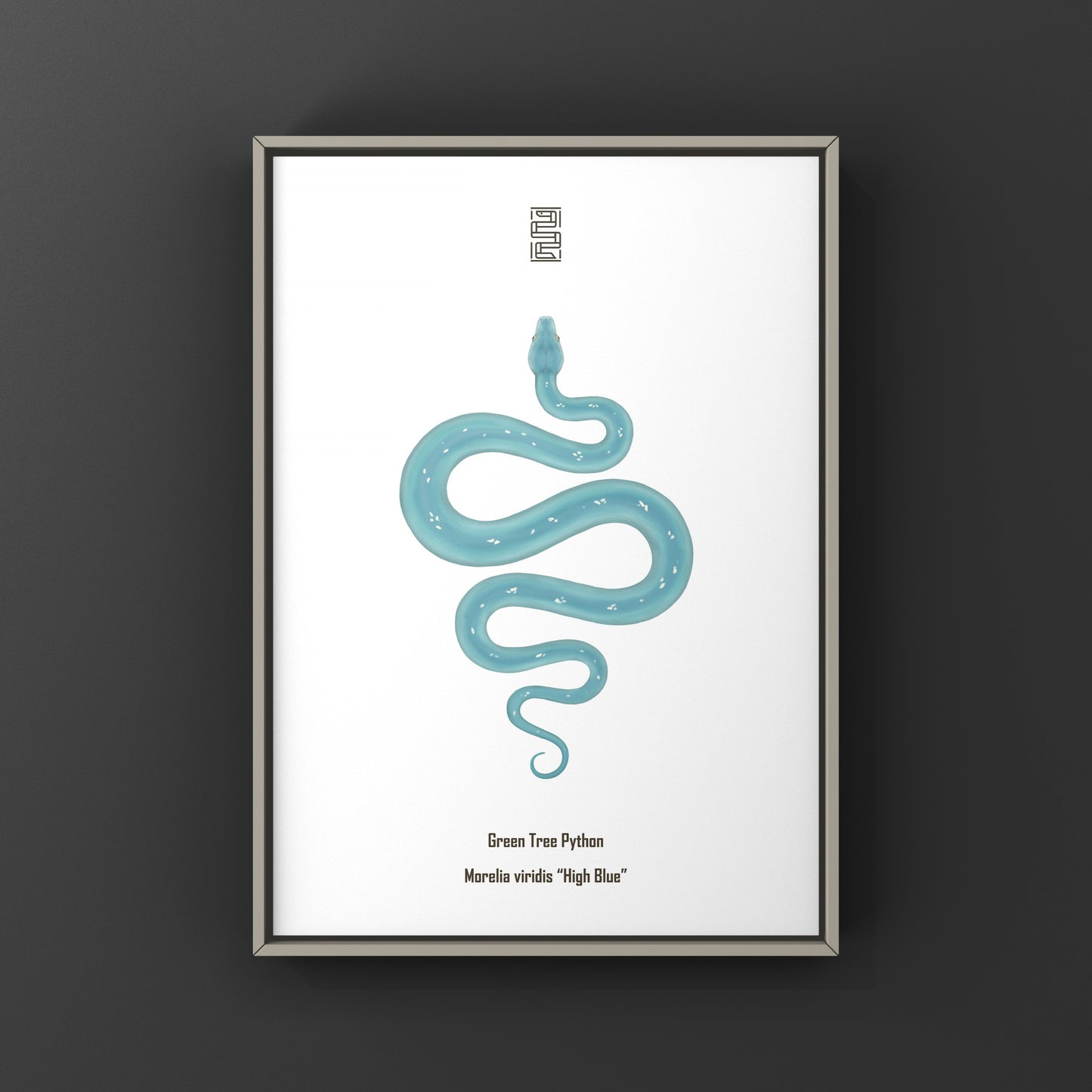 High Blue Green Tree Python art print by The Silk Ranch featuring vibrant Morelia viridis snake artwork on white background.