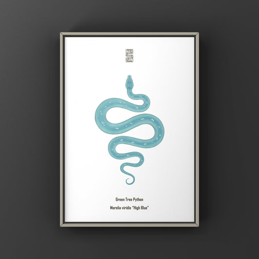 High Blue Green Tree Python art print by The Silk Ranch featuring vibrant Morelia viridis snake artwork on white background.