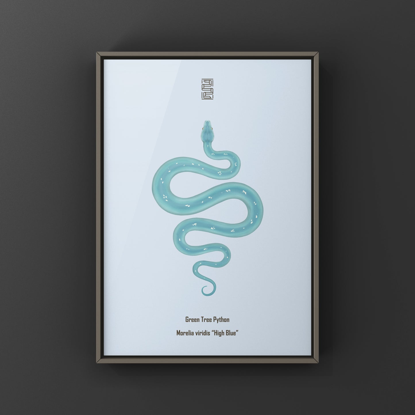 High Blue Green Tree Python art print by The Silk Ranch featuring a vibrant Morelia viridis snake illustration.