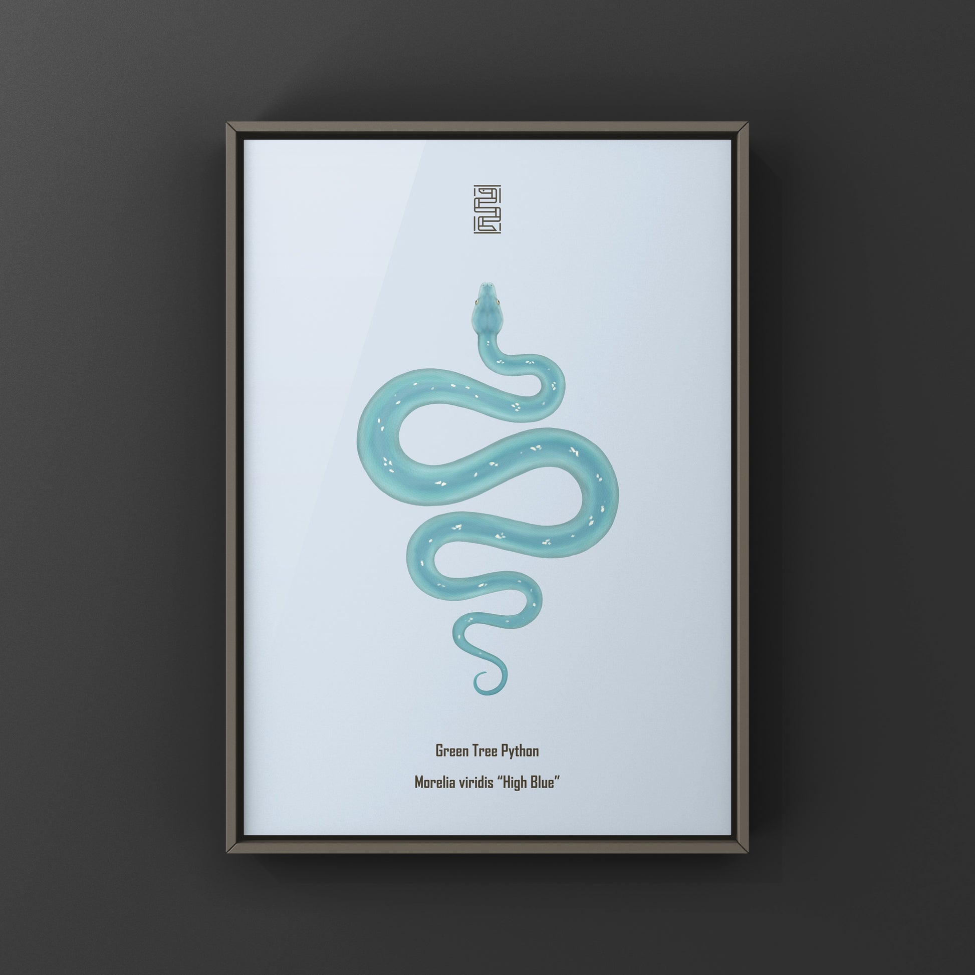 High Blue Green Tree Python art print by The Silk Ranch featuring a vibrant Morelia viridis snake illustration.