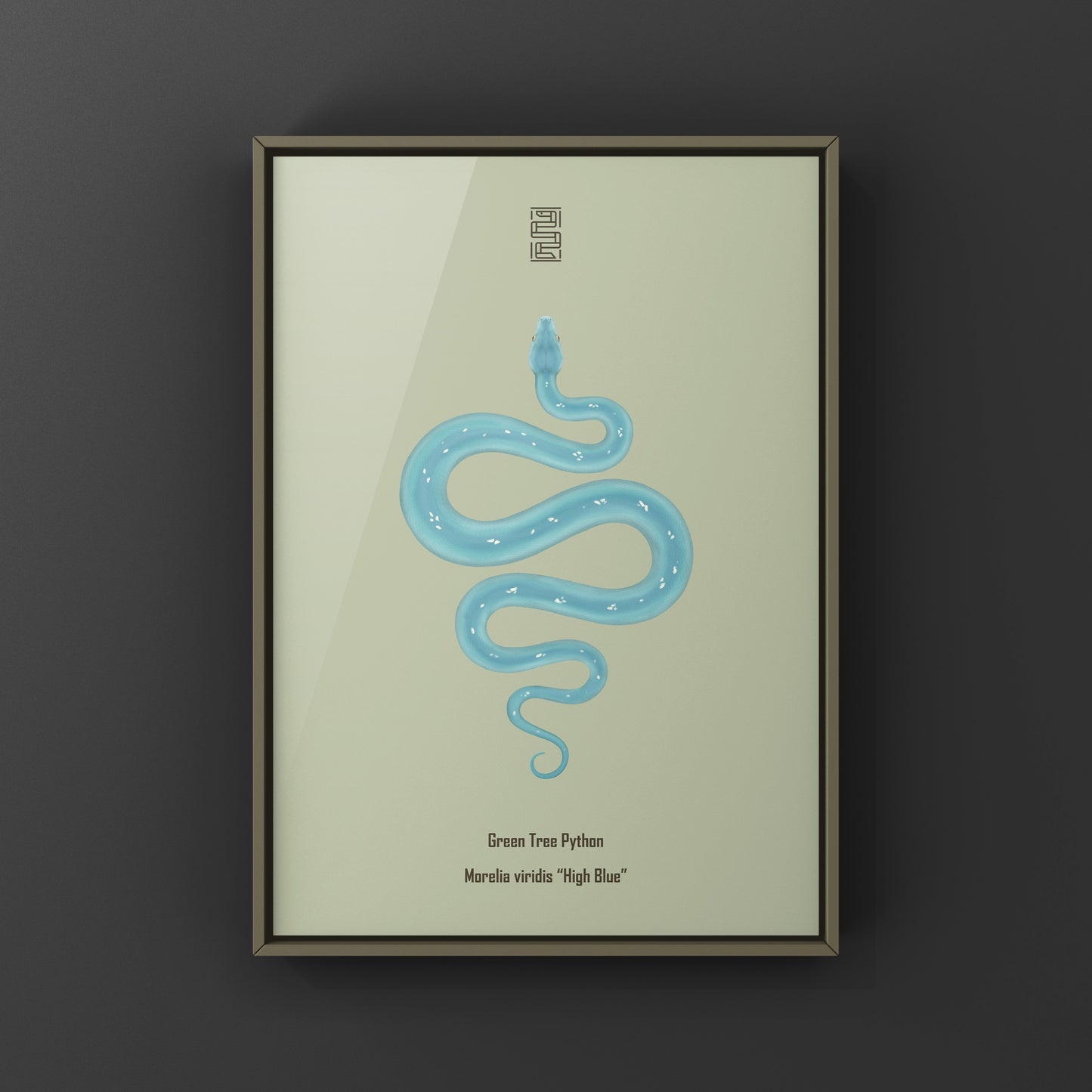High Blue Green Tree Python art print by The Silk Ranch featuring realistic depiction of a Morelia viridis snake.