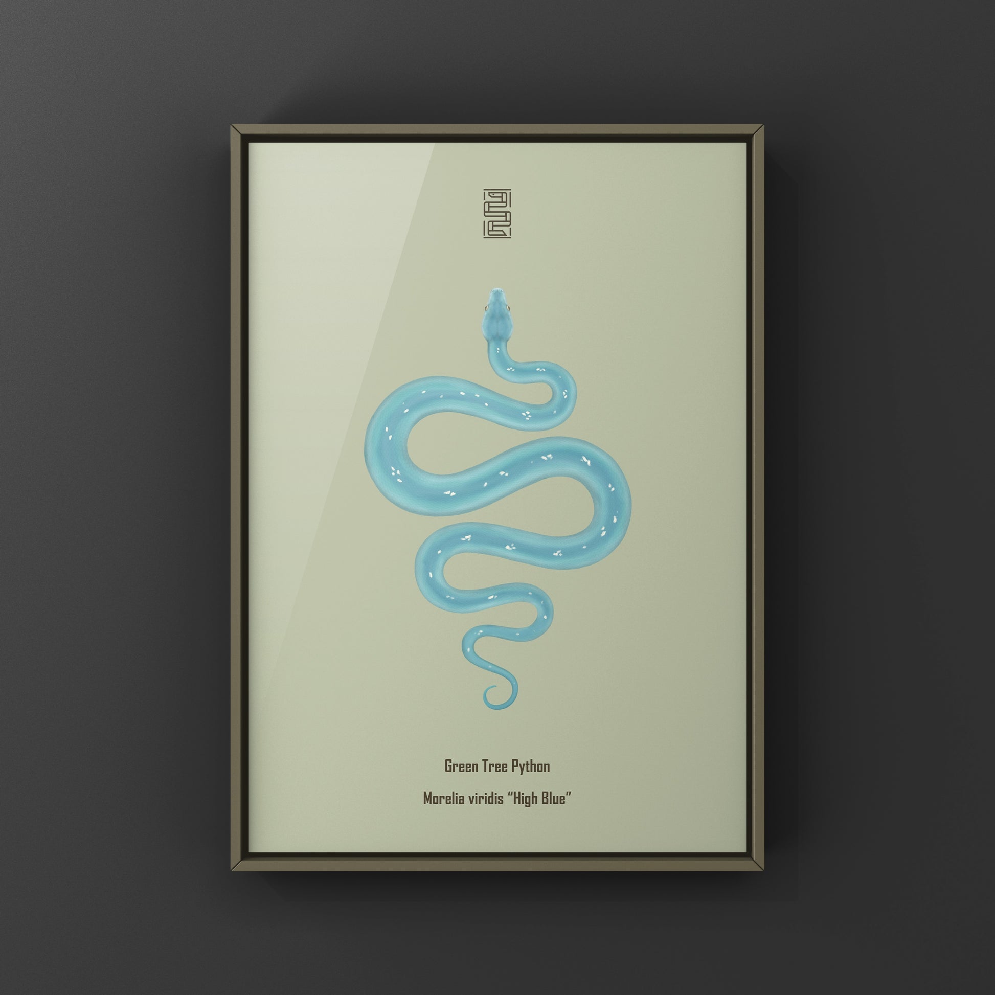 High Blue Green Tree Python art print by The Silk Ranch featuring realistic depiction of a Morelia viridis snake.