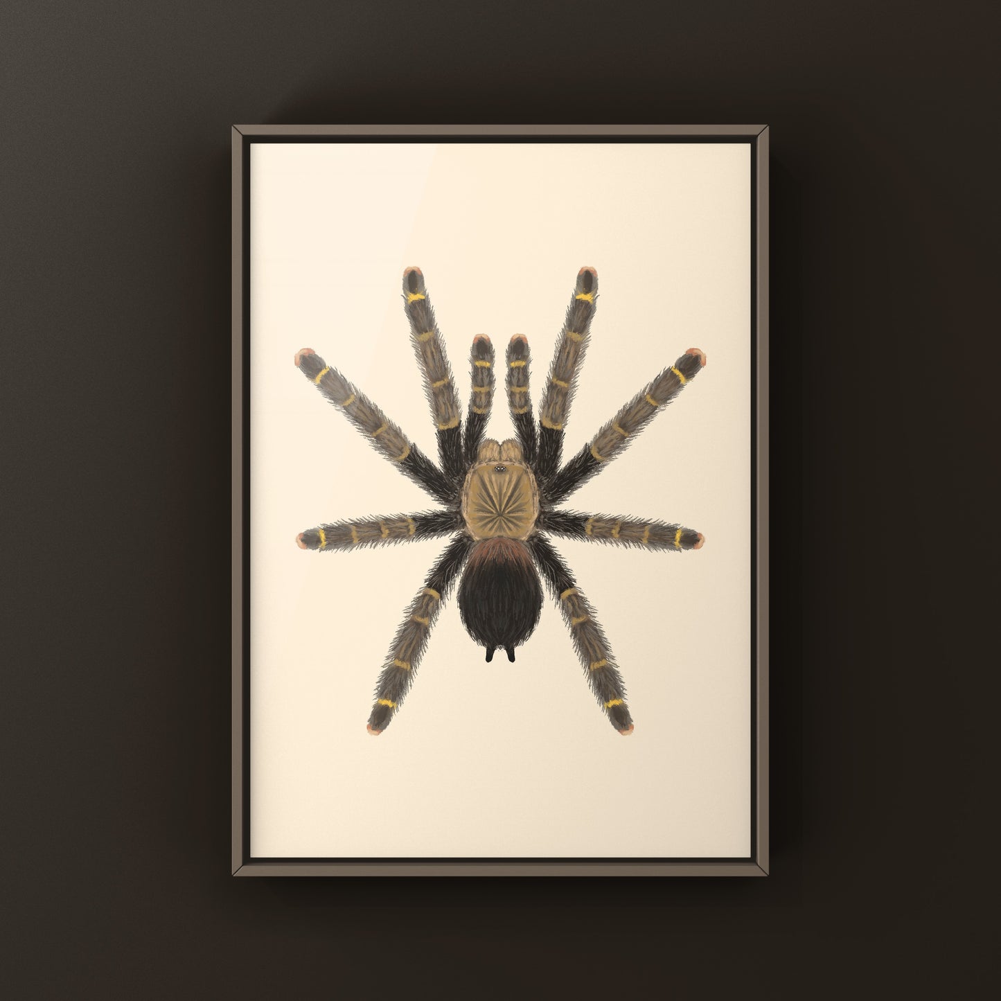 Yellow Banded Pinktoe Tarantula (Avicularia Rufa) Photographic Art Print from The Silk Ranch