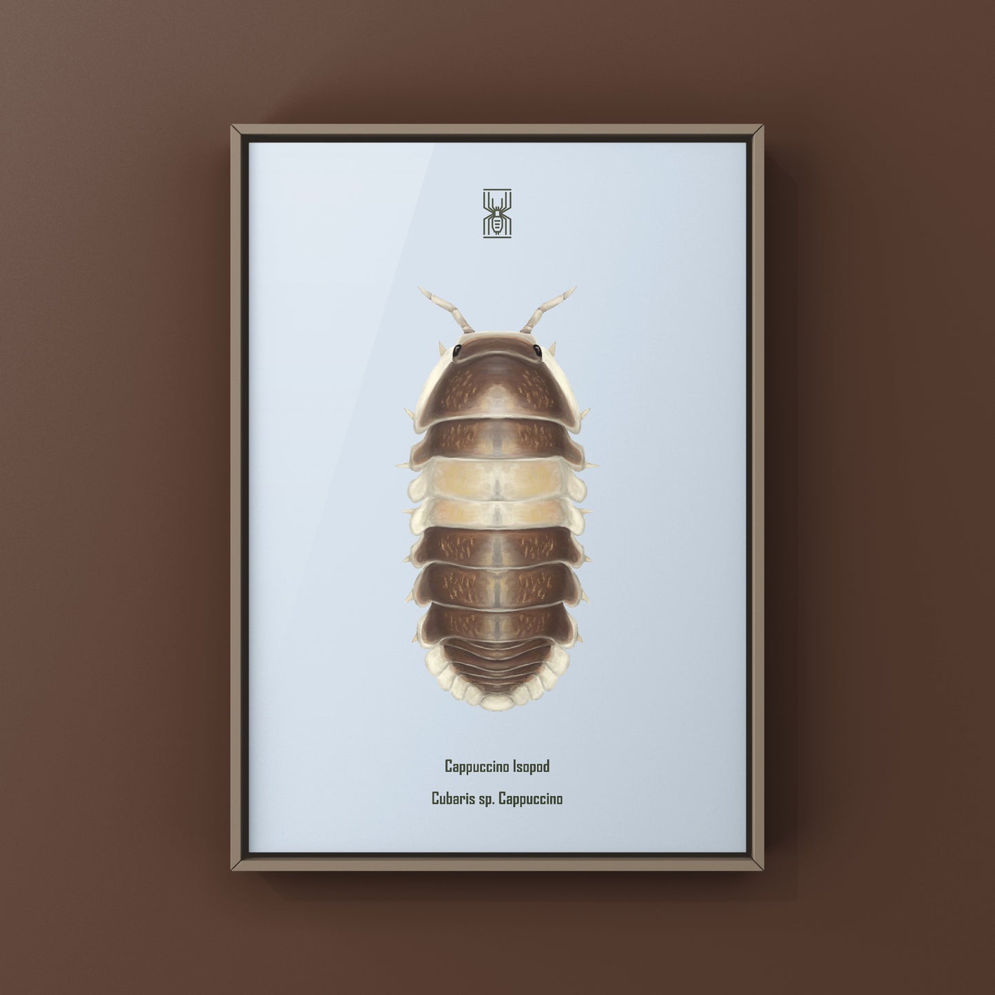 Cappuccino Isopod (Cubaris sp. Cappuccino) Photographic Art Print from The Silk Ranch
