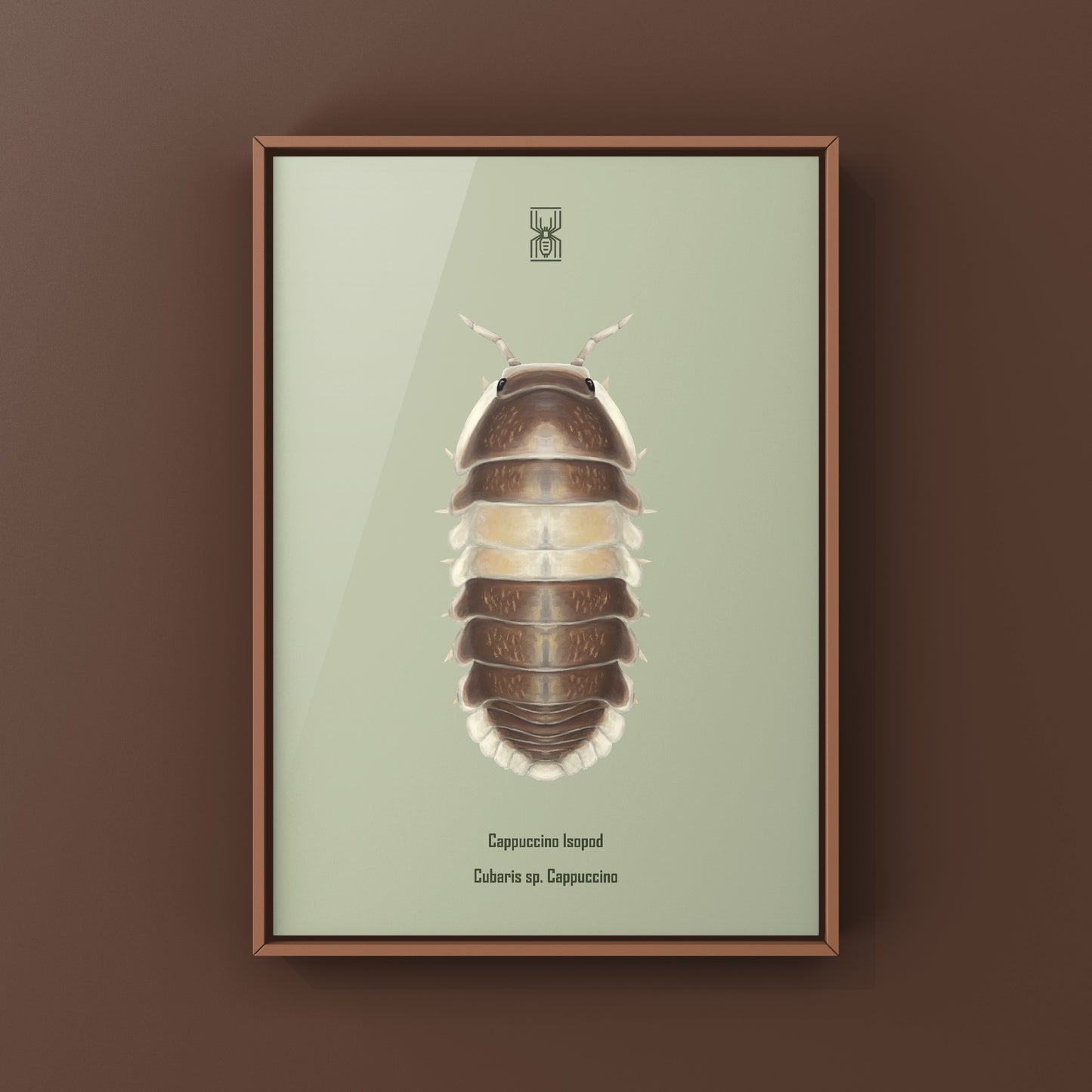 Cappuccino Isopod (Cubaris sp. Cappuccino) Photographic Art Print from The Silk Ranch