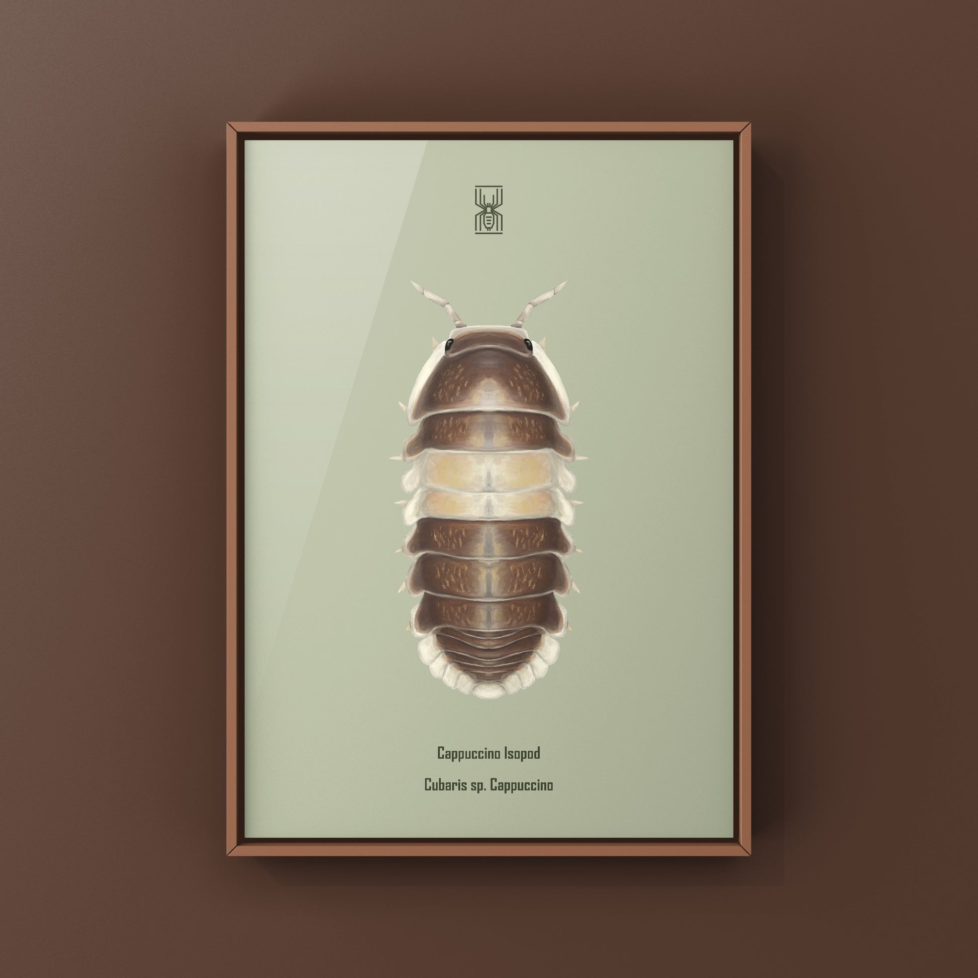 Cappuccino Isopod (Cubaris sp. Cappuccino) Photographic Art Print from The Silk Ranch