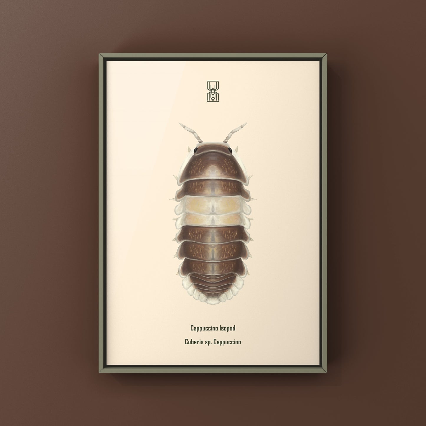Cappuccino Isopod (Cubaris sp. Cappuccino) Photographic Art Print from The Silk Ranch
