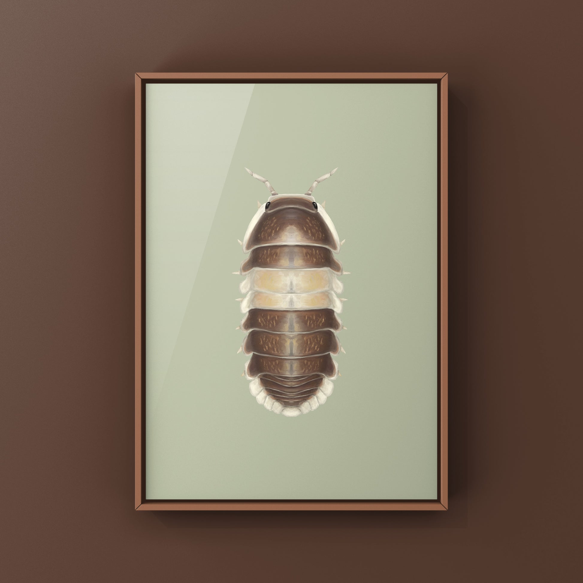 Cappuccino Isopod (Cubaris sp. Cappuccino) Photographic Art Print from The Silk Ranch