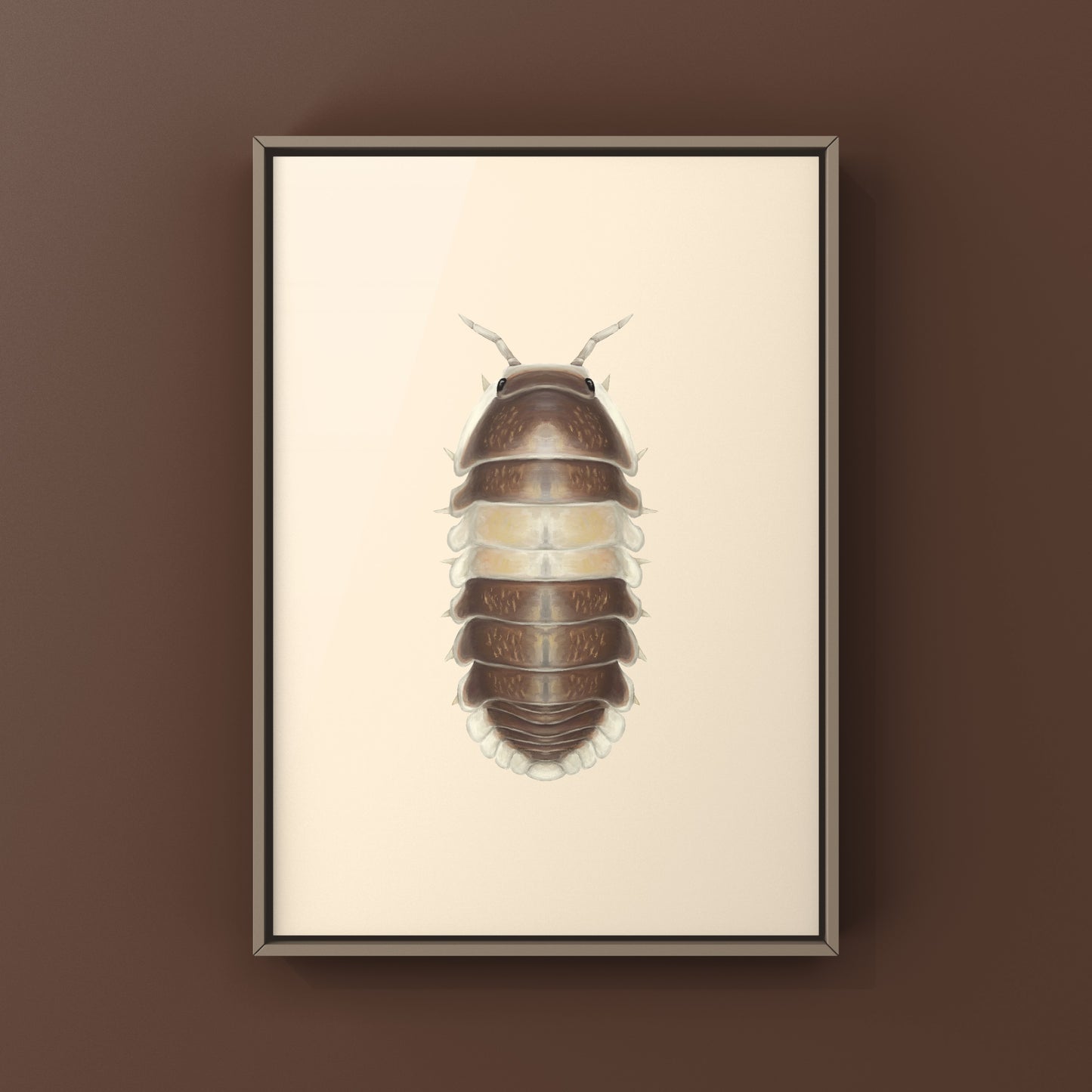Cappuccino Isopod (Cubaris sp. Cappuccino) Photographic Art Print from The Silk Ranch