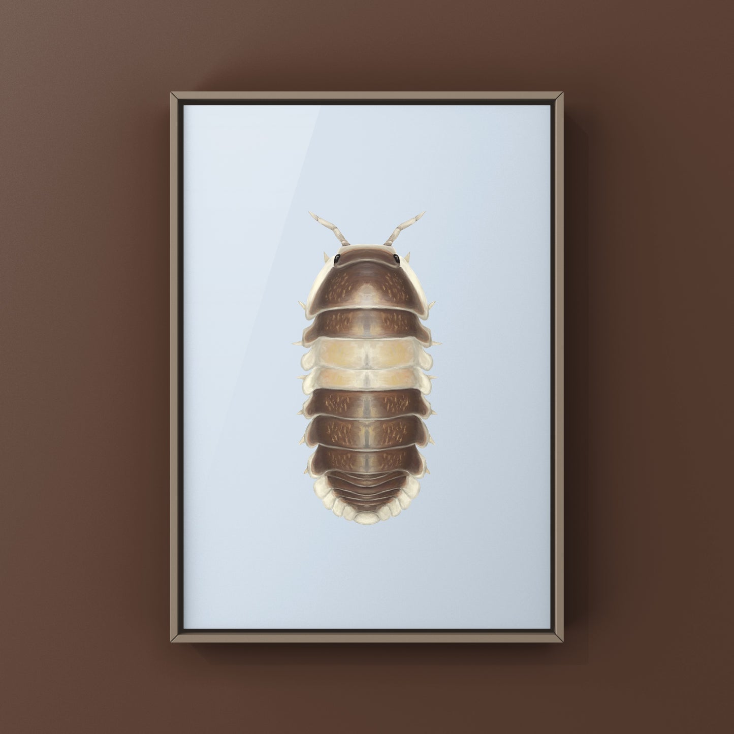 Cappuccino Isopod (Cubaris sp. Cappuccino) Photographic Art Print from The Silk Ranch
