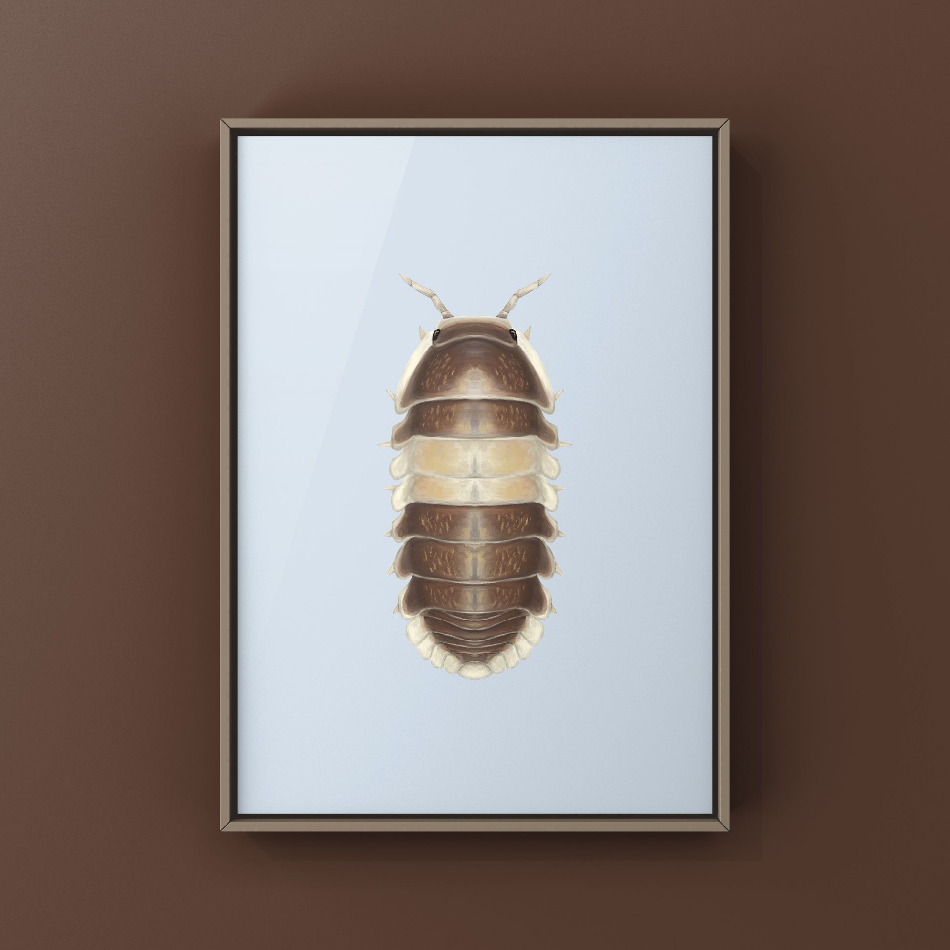 Cappuccino Isopod (Cubaris sp. Cappuccino) Photographic Art Print from The Silk Ranch
