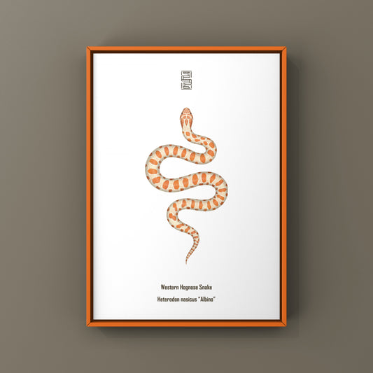 Albino Western Hognose Snake Art Print (Heterodon nasicus) from The Silk Ranch