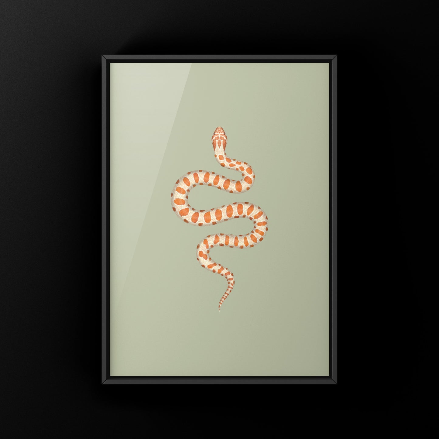 Albino Western Hognose Snake Art Print (Heterodon nasicus) from The Silk Ranch
