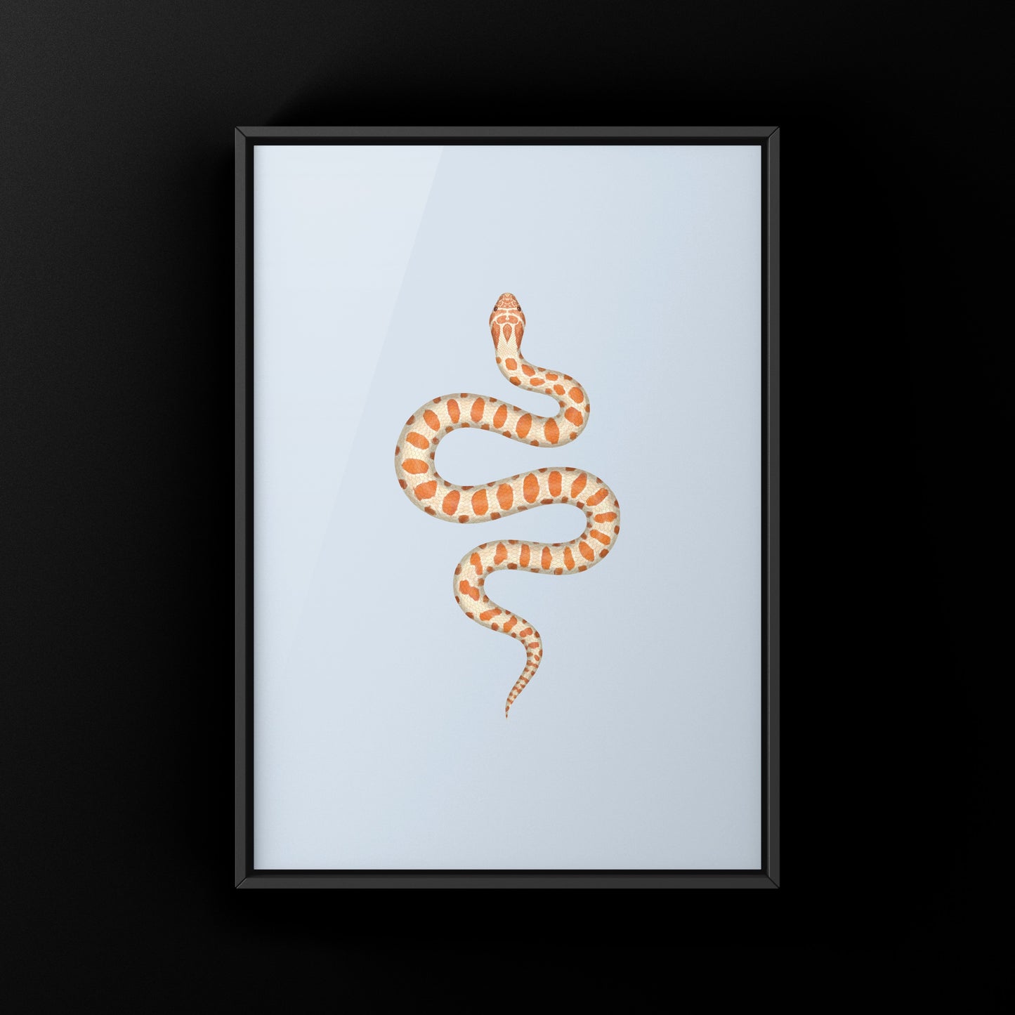 Albino Western Hognose Snake Art Print (Heterodon nasicus) from The Silk Ranch