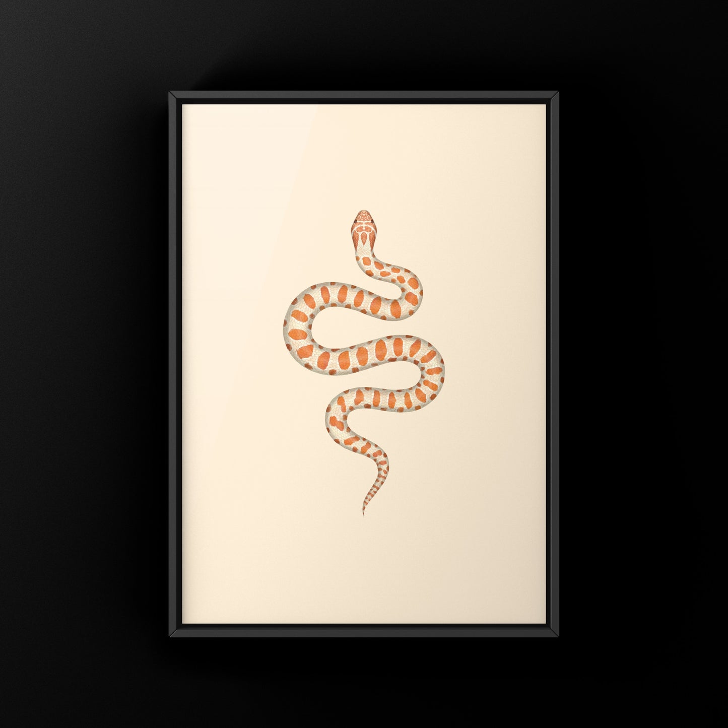 Albino Western Hognose Snake Art Print (Heterodon nasicus) from The Silk Ranch