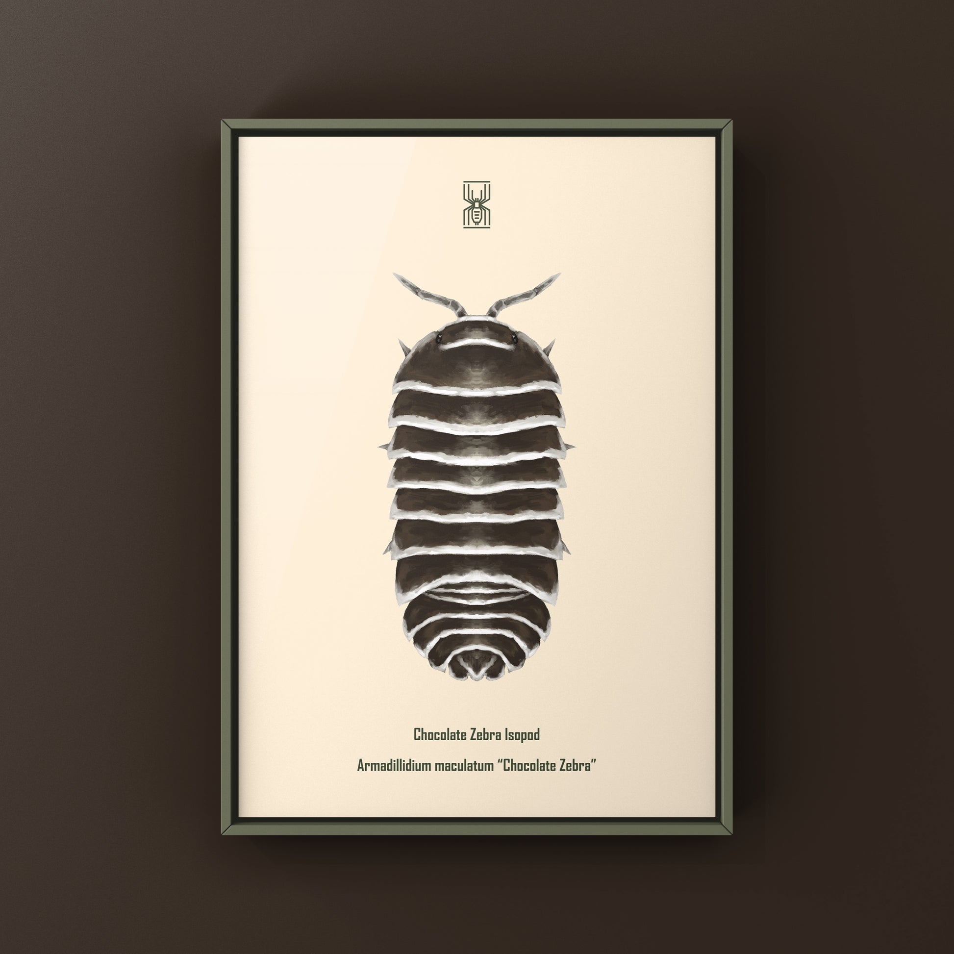 Chocolate Zebra Isopod Art Print (Armadillidium maculatum "Chocolate") from The Silk Ranch