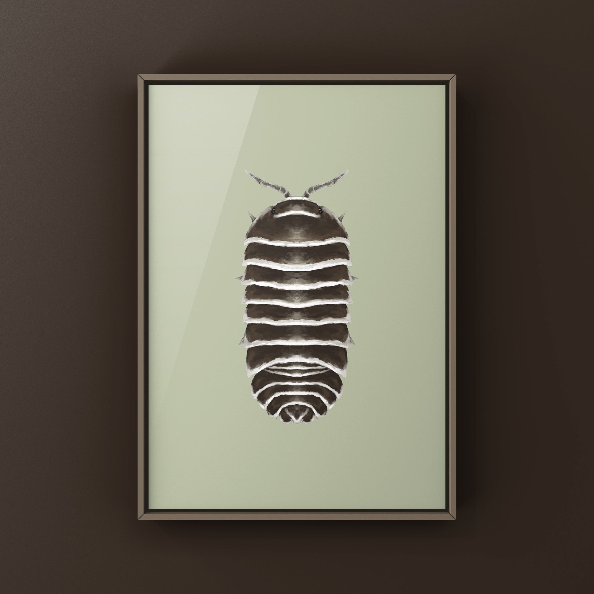 Chocolate Zebra Isopod Art Print (Armadillidium maculatum "Chocolate") from The Silk Ranch