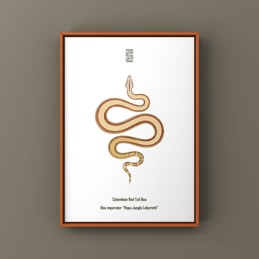 Hypo Jungle Labyrinth Red Tail Boa Art Print (Boa imperator) from The Silk Ranch