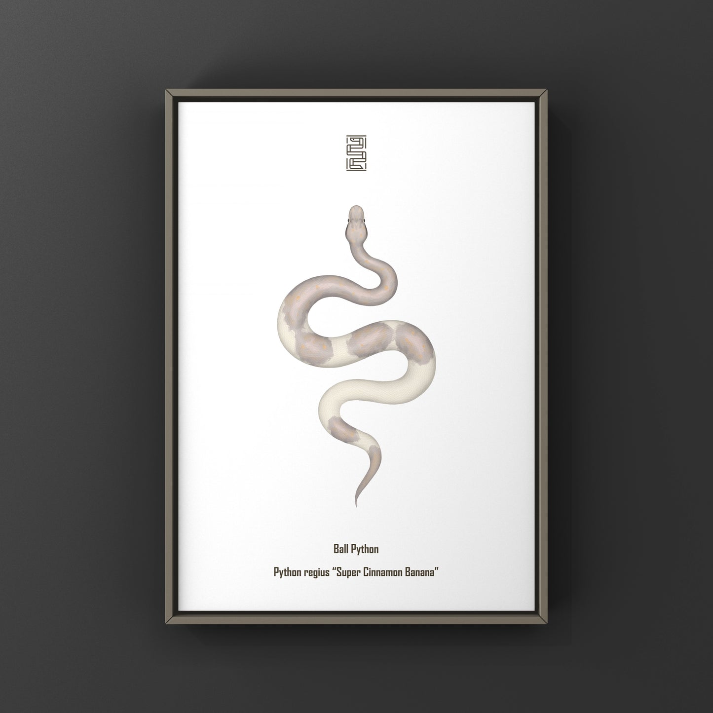Super Cinnamon Banana Ball Python Art Print (Python regius) from The Silk Ranch