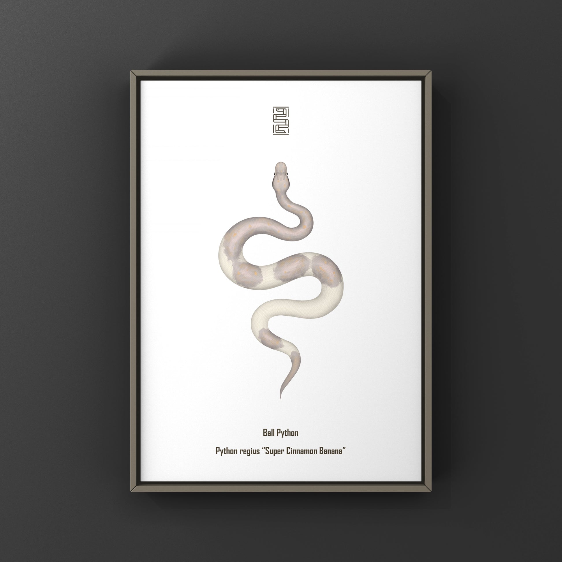 Super Cinnamon Banana Ball Python Art Print (Python regius) from The Silk Ranch