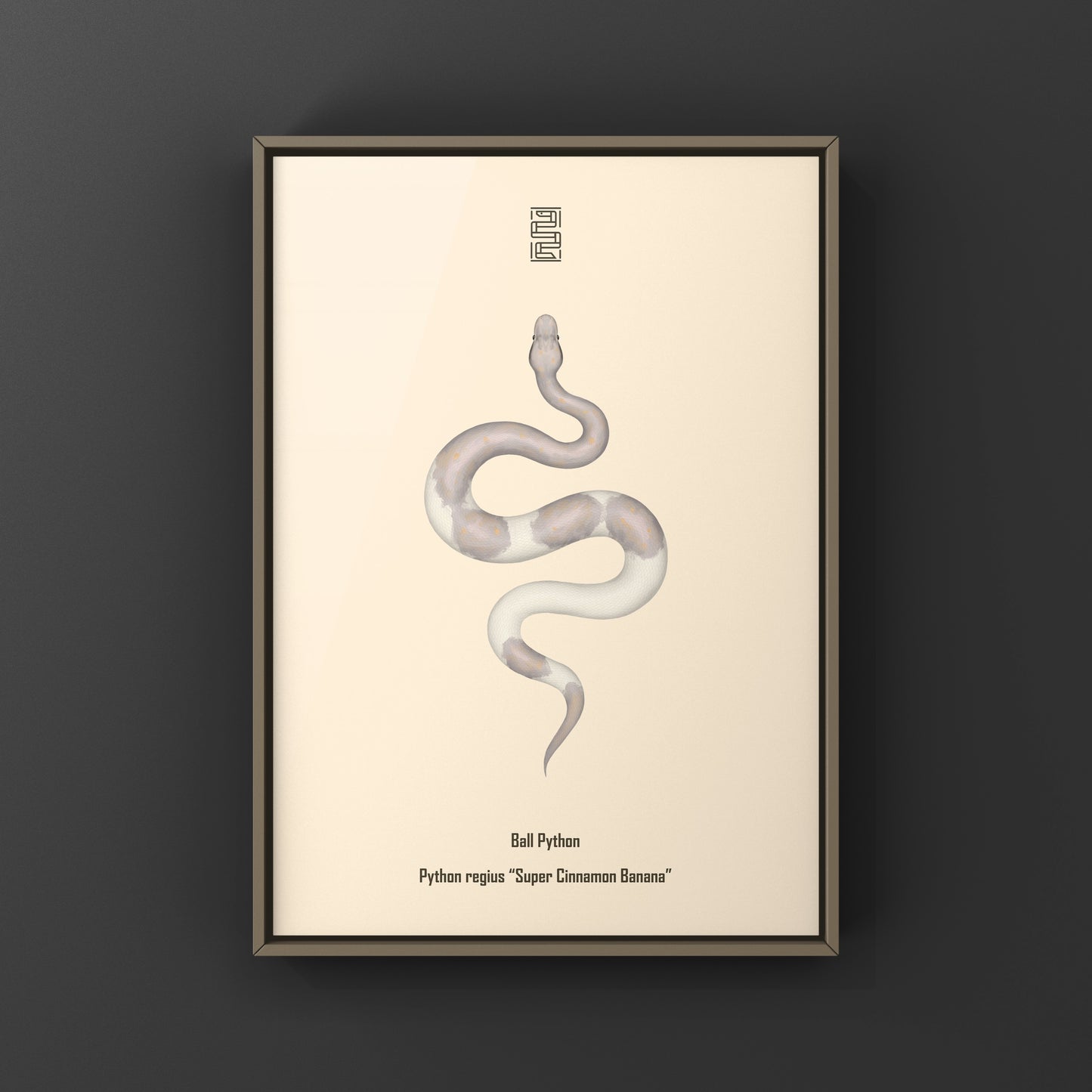 Super Cinnamon Banana Ball Python Art Print (Python regius) from The Silk Ranch