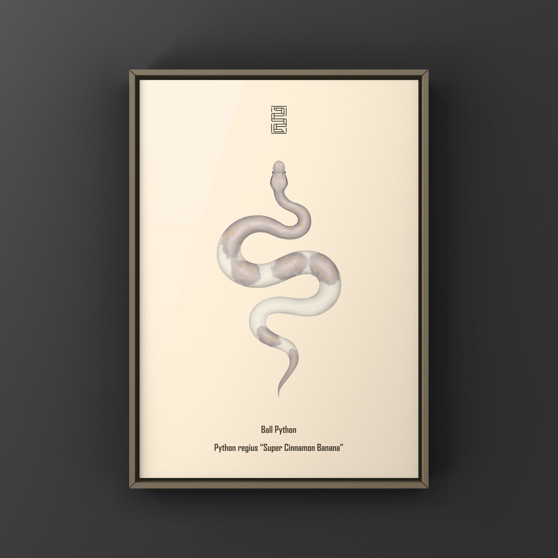 Super Cinnamon Banana Ball Python Art Print (Python regius) from The Silk Ranch